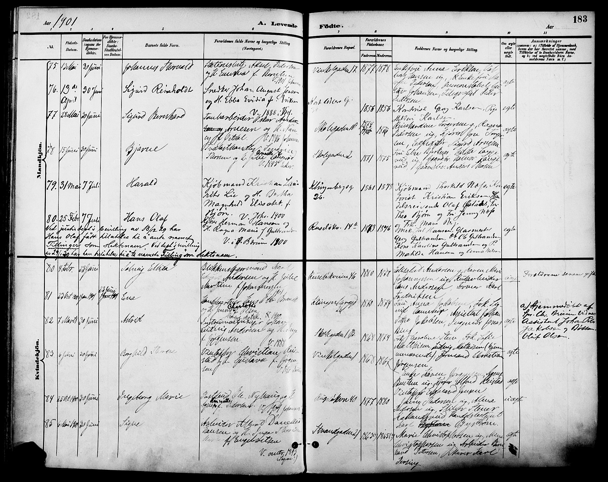 Johannes prestekontor Kirkebøker, AV/SAO-A-10852/F/Fa/L0007: Parish register (official) no. 7, 1896-1905, p. 183