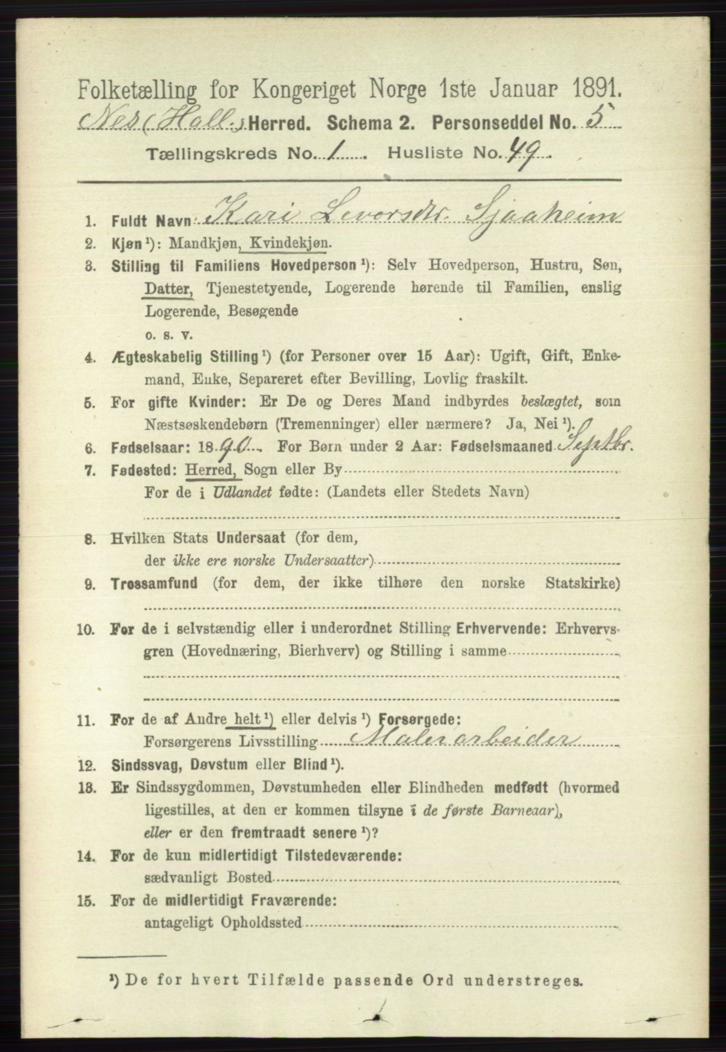 RA, 1891 census for 0616 Nes, 1891, p. 430