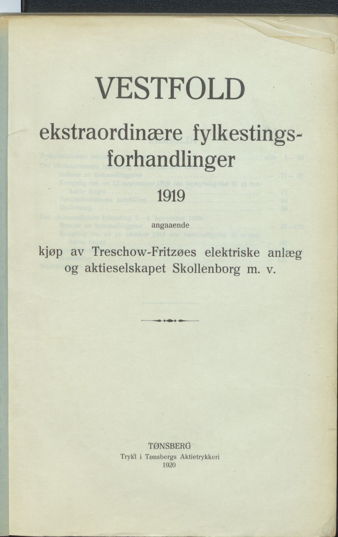 Vestfold fylkeskommune. Fylkestinget, VEMU/A-1315/A/Ab/Abb/L0067: Fylkestingsforhandlinger, 1919