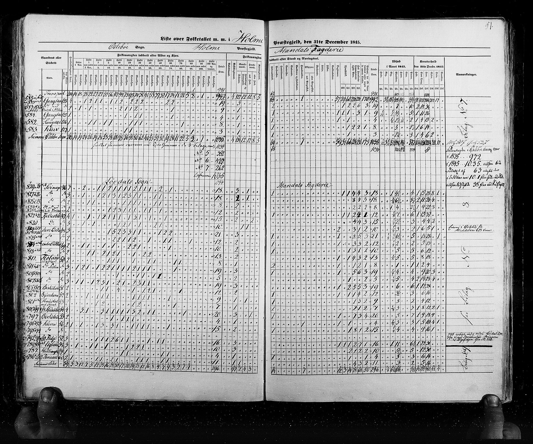 RA, Census 1845, vol. 6: Lister og Mandal amt og Stavanger amt, 1845, p. 51