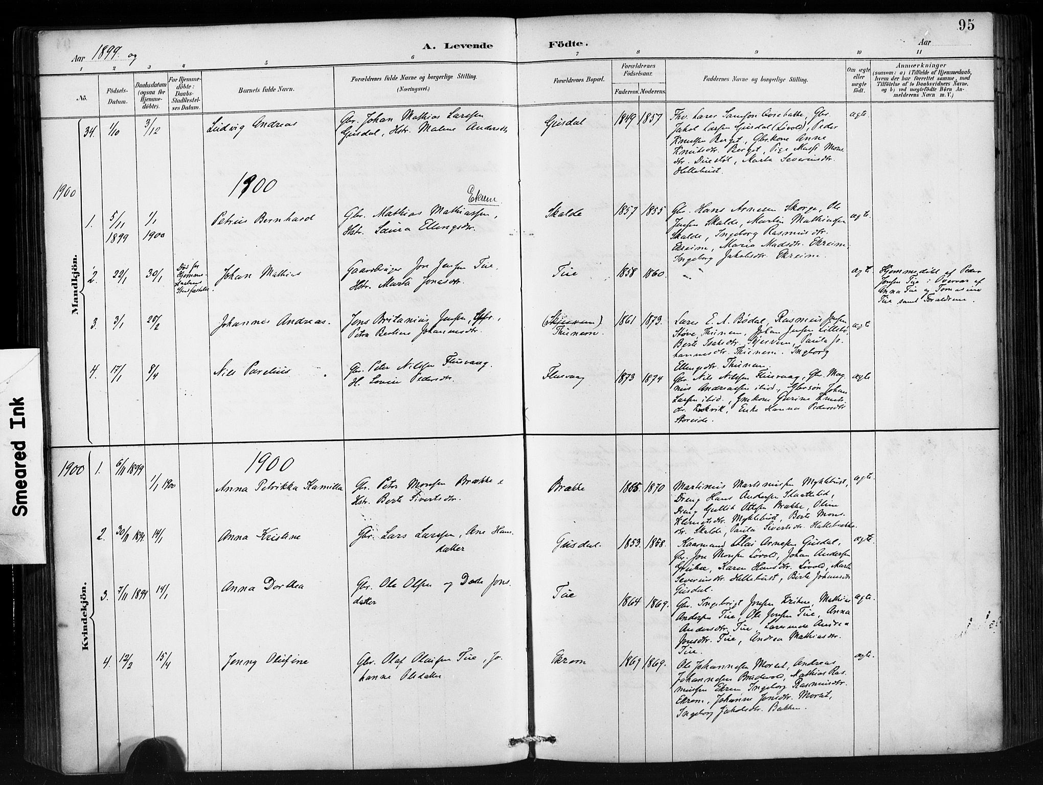 Ministerialprotokoller, klokkerbøker og fødselsregistre - Møre og Romsdal, AV/SAT-A-1454/501/L0008: Parish register (official) no. 501A08, 1885-1901, p. 95