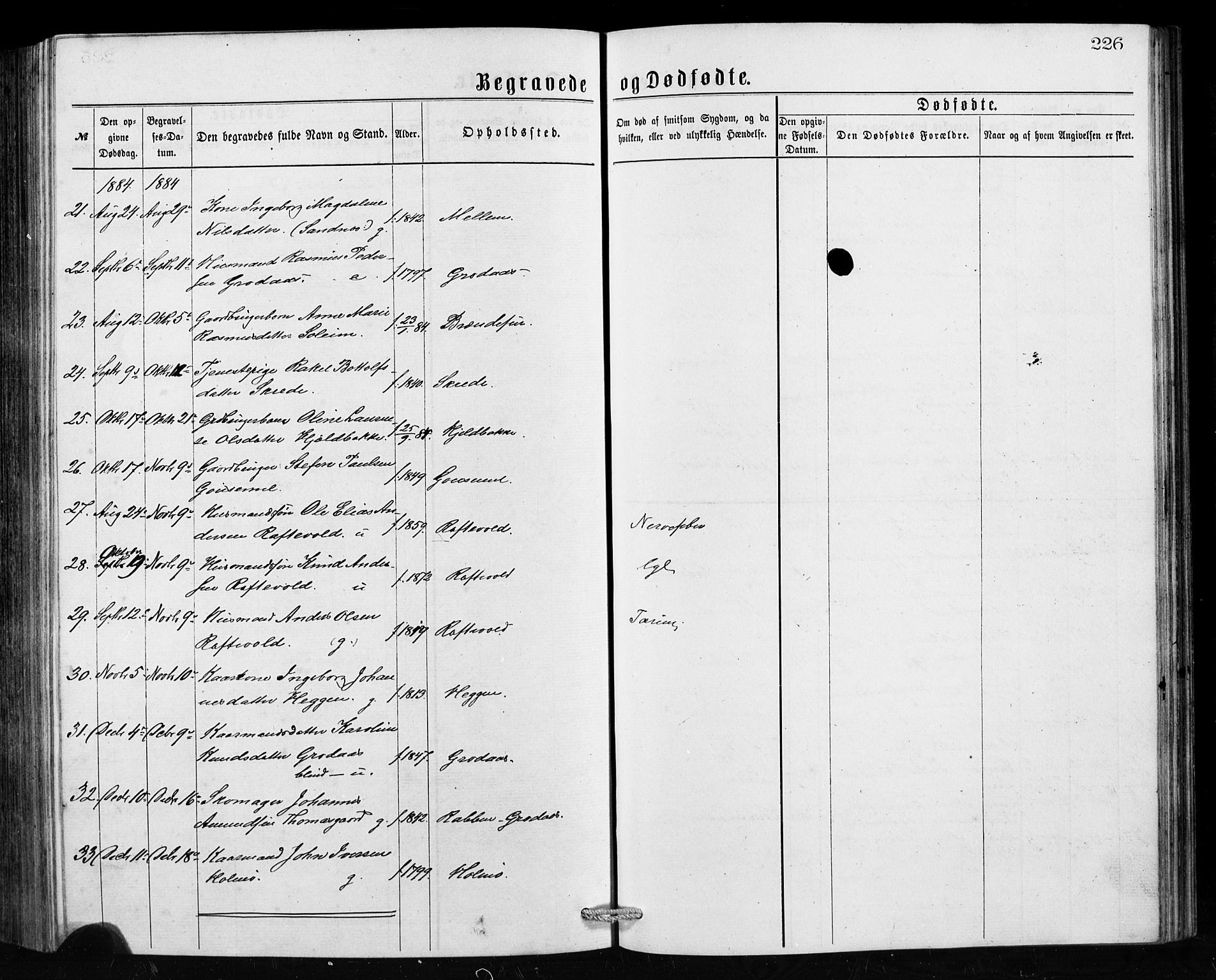 Hornindal sokneprestembete, SAB/A-82401/H/Hab: Parish register (copy) no. A 1, 1876-1894, p. 226