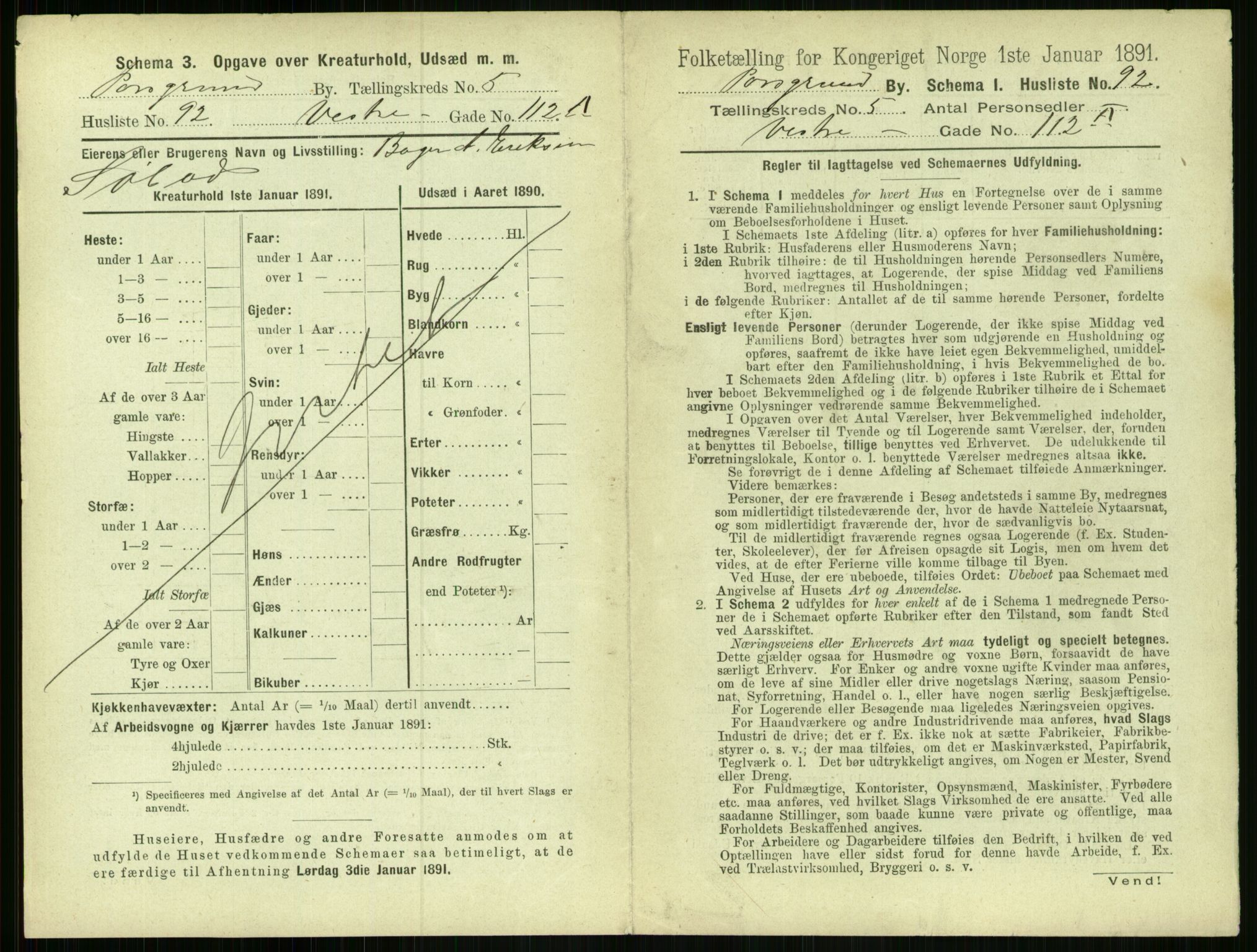 RA, 1891 census for 0805 Porsgrunn, 1891, p. 1181