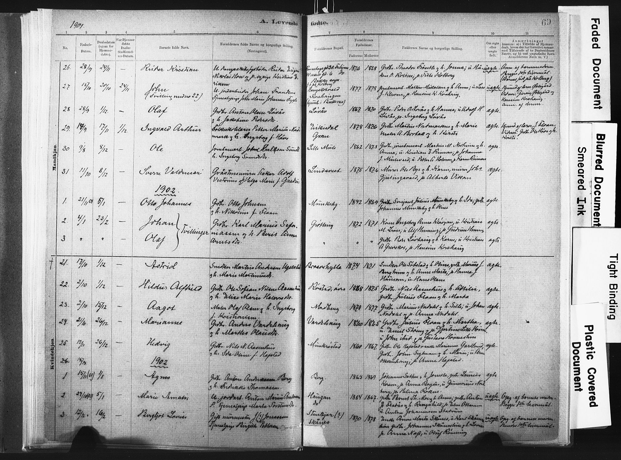 Ministerialprotokoller, klokkerbøker og fødselsregistre - Nord-Trøndelag, SAT/A-1458/721/L0207: Parish register (official) no. 721A02, 1880-1911, p. 69