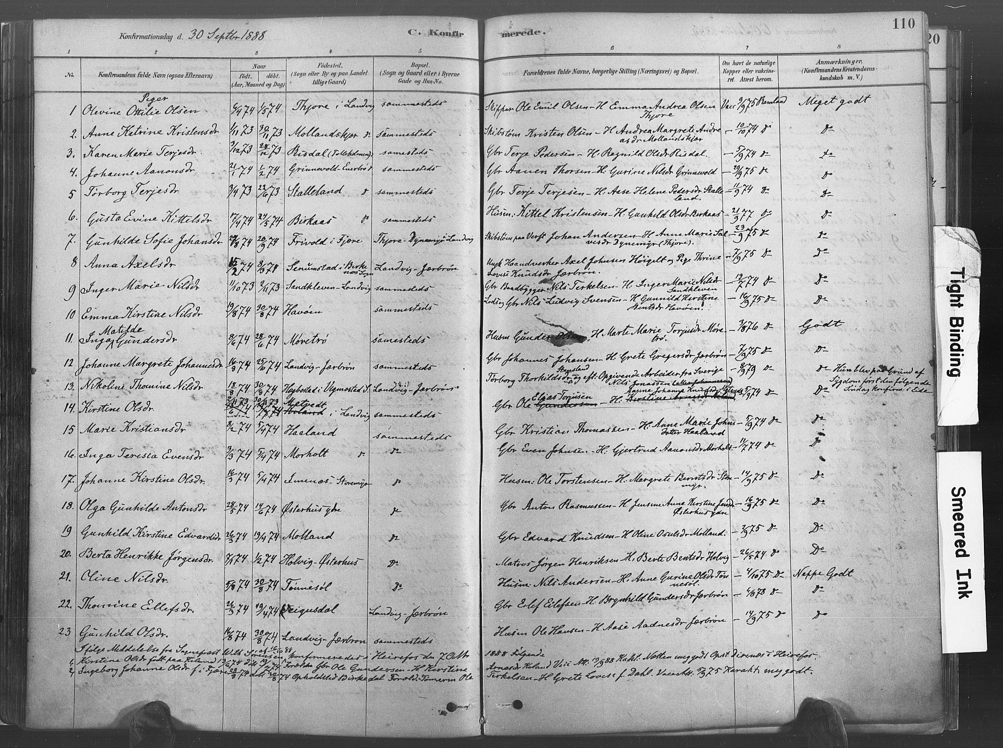 Hommedal sokneprestkontor, AV/SAK-1111-0023/F/Fa/Fab/L0006: Parish register (official) no. A 6, 1878-1897, p. 110