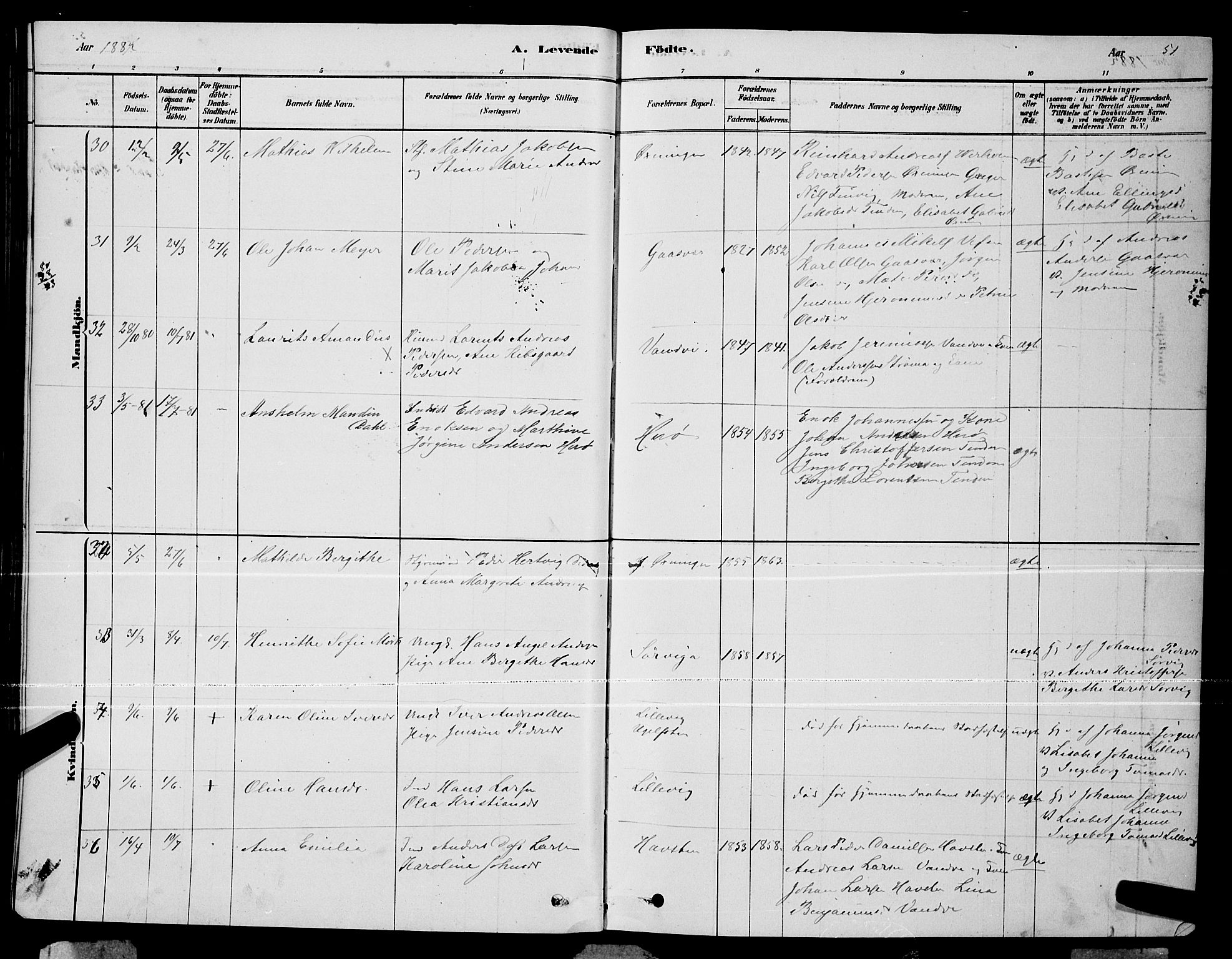 Ministerialprotokoller, klokkerbøker og fødselsregistre - Nordland, AV/SAT-A-1459/834/L0513: Parish register (copy) no. 834C04, 1877-1892, p. 51