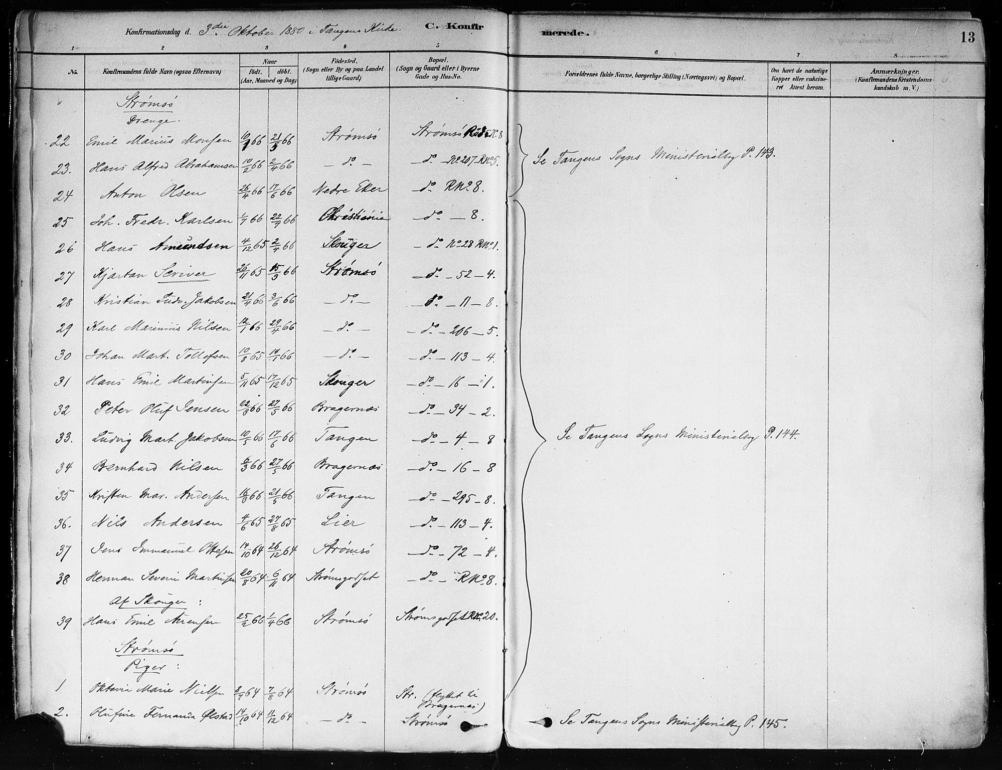 Strømsø kirkebøker, AV/SAKO-A-246/F/Fa/L0022: Parish register (official) no. I 22, 1879-1899, p. 13