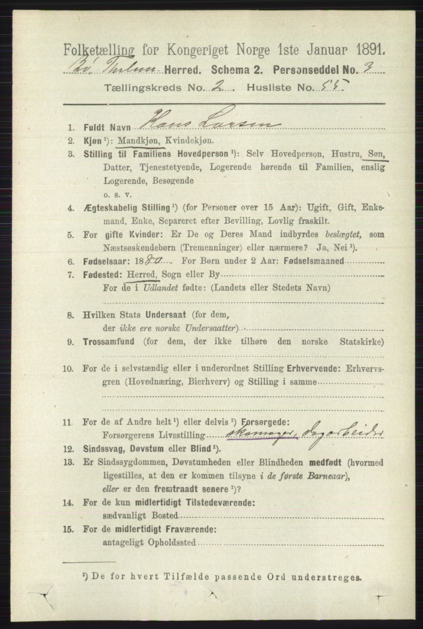 RA, 1891 census for 0821 Bø, 1891, p. 966