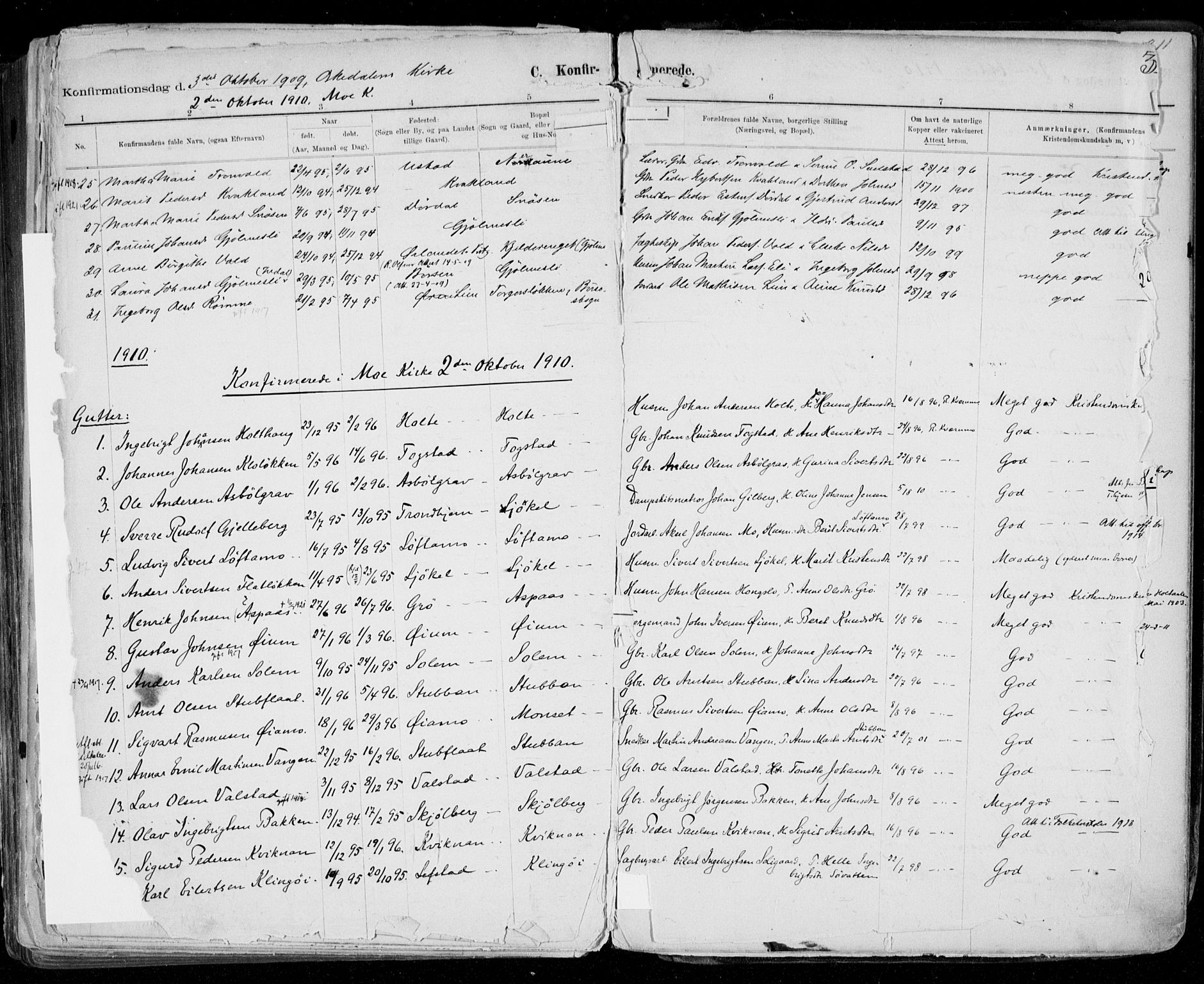 Ministerialprotokoller, klokkerbøker og fødselsregistre - Sør-Trøndelag, SAT/A-1456/668/L0811: Parish register (official) no. 668A11, 1894-1913, p. 310
