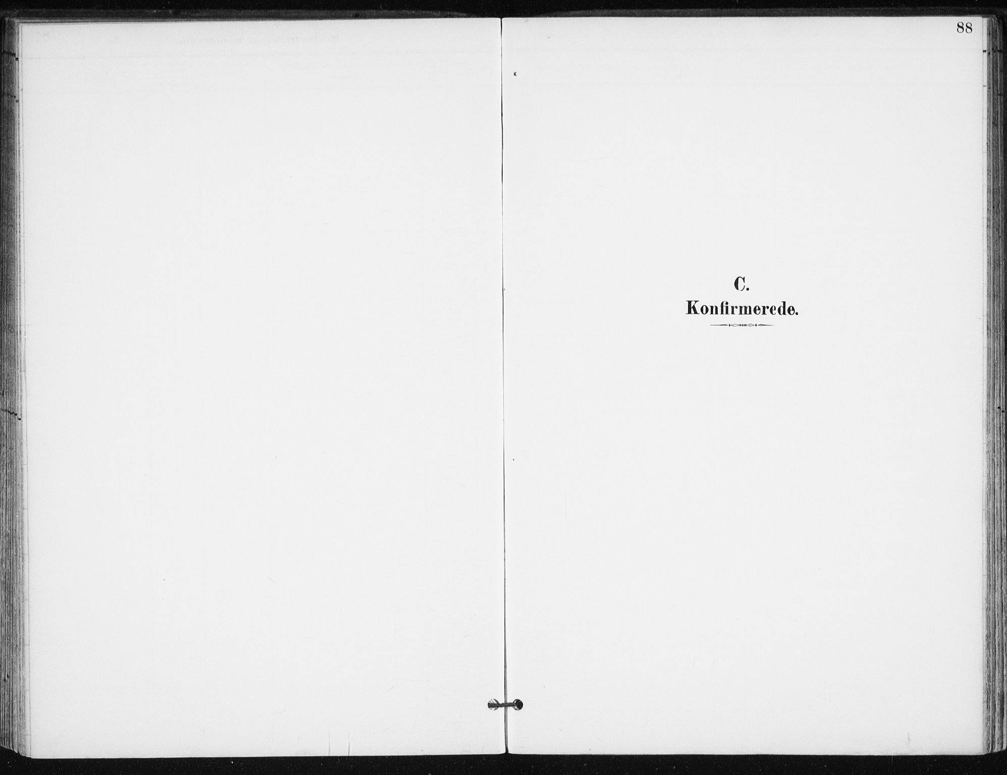 Salangen sokneprestembete, AV/SATØ-S-1324/H/Ha/L0001kirke: Parish register (official) no. 1, 1893-1911, p. 88