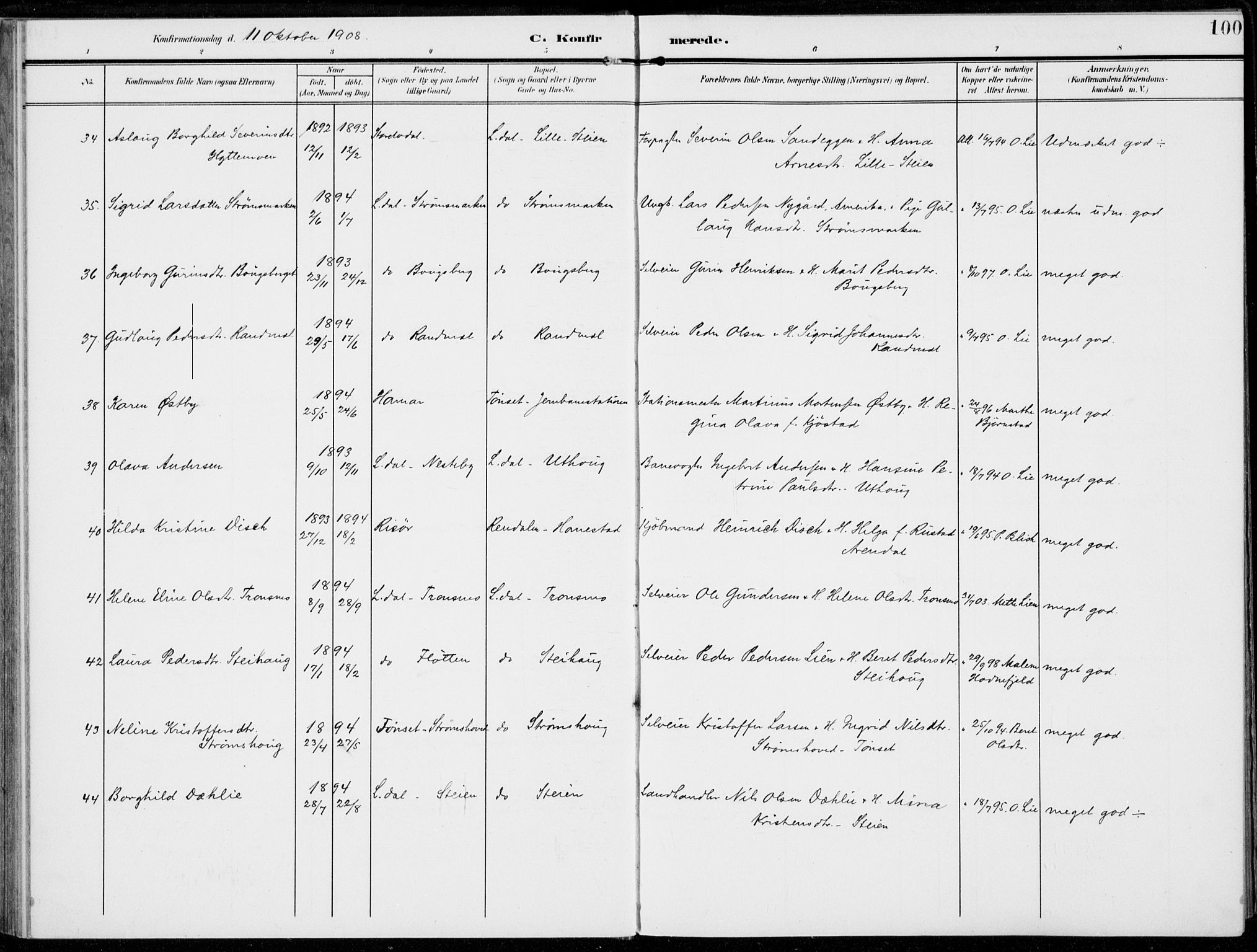 Alvdal prestekontor, AV/SAH-PREST-060/H/Ha/Haa/L0004: Parish register (official) no. 4, 1907-1919, p. 100