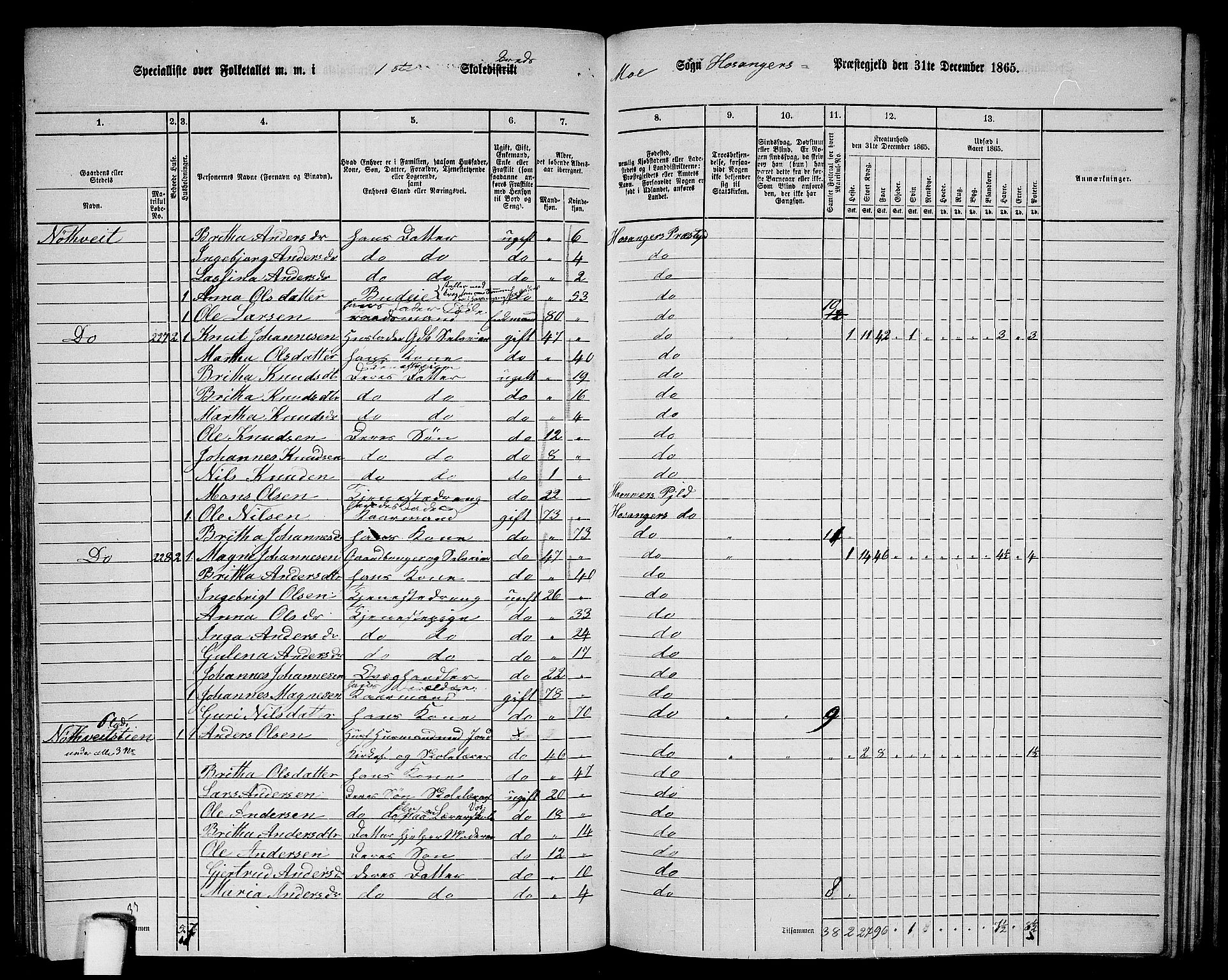 RA, 1865 census for Hosanger, 1865, p. 122