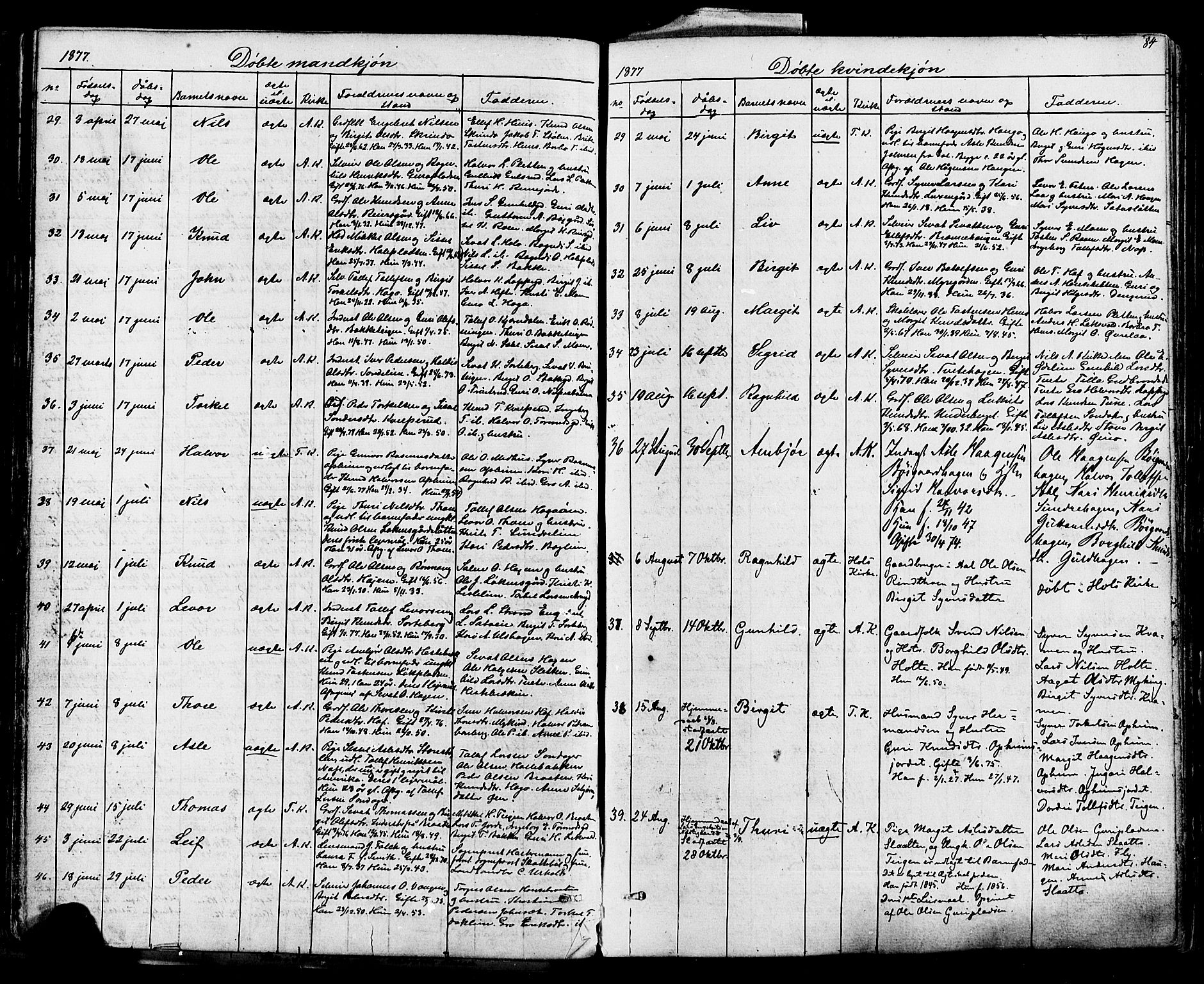 Ål kirkebøker, SAKO/A-249/F/Fa/L0007: Parish register (official) no. I 7, 1865-1881, p. 84
