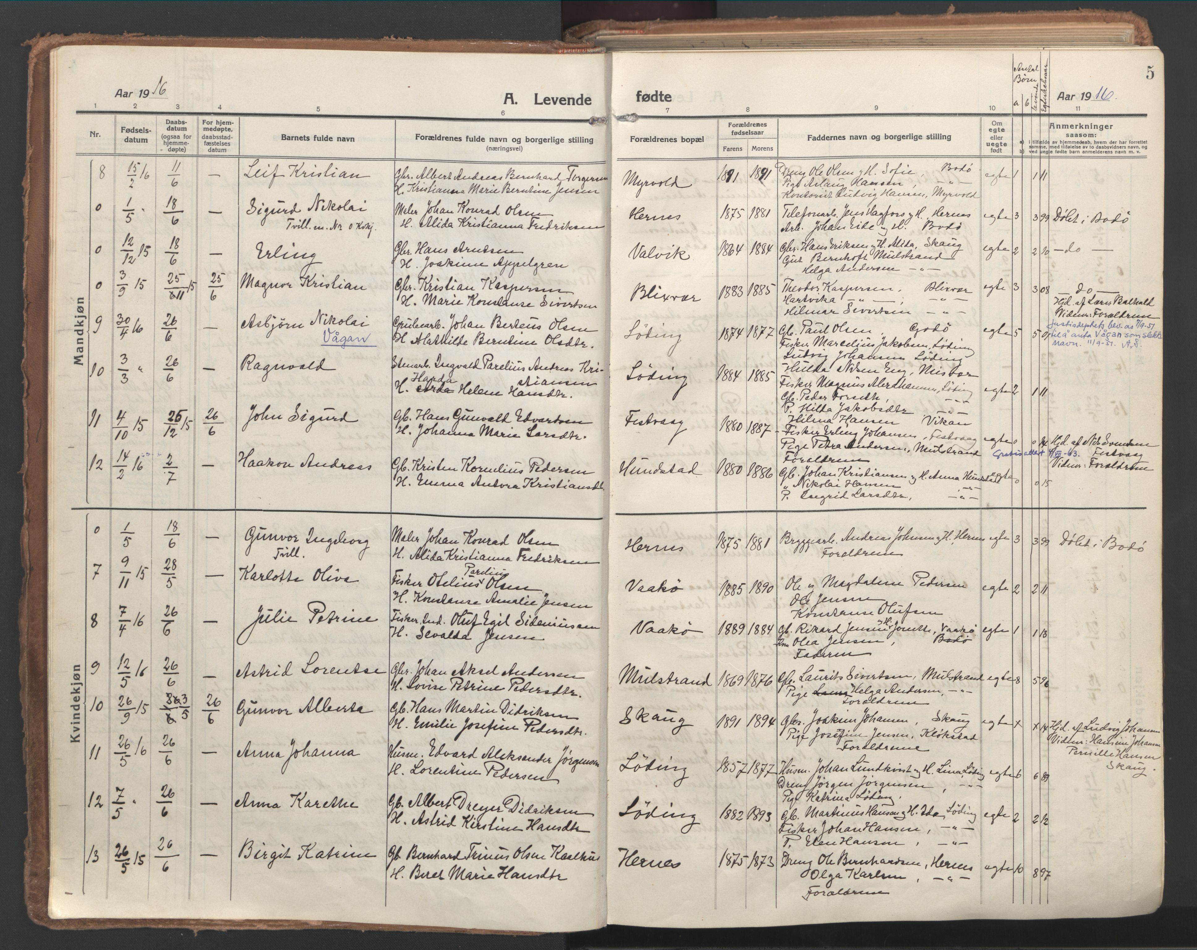 Ministerialprotokoller, klokkerbøker og fødselsregistre - Nordland, SAT/A-1459/802/L0060: Parish register (official) no. 802A07, 1916-1933, p. 5