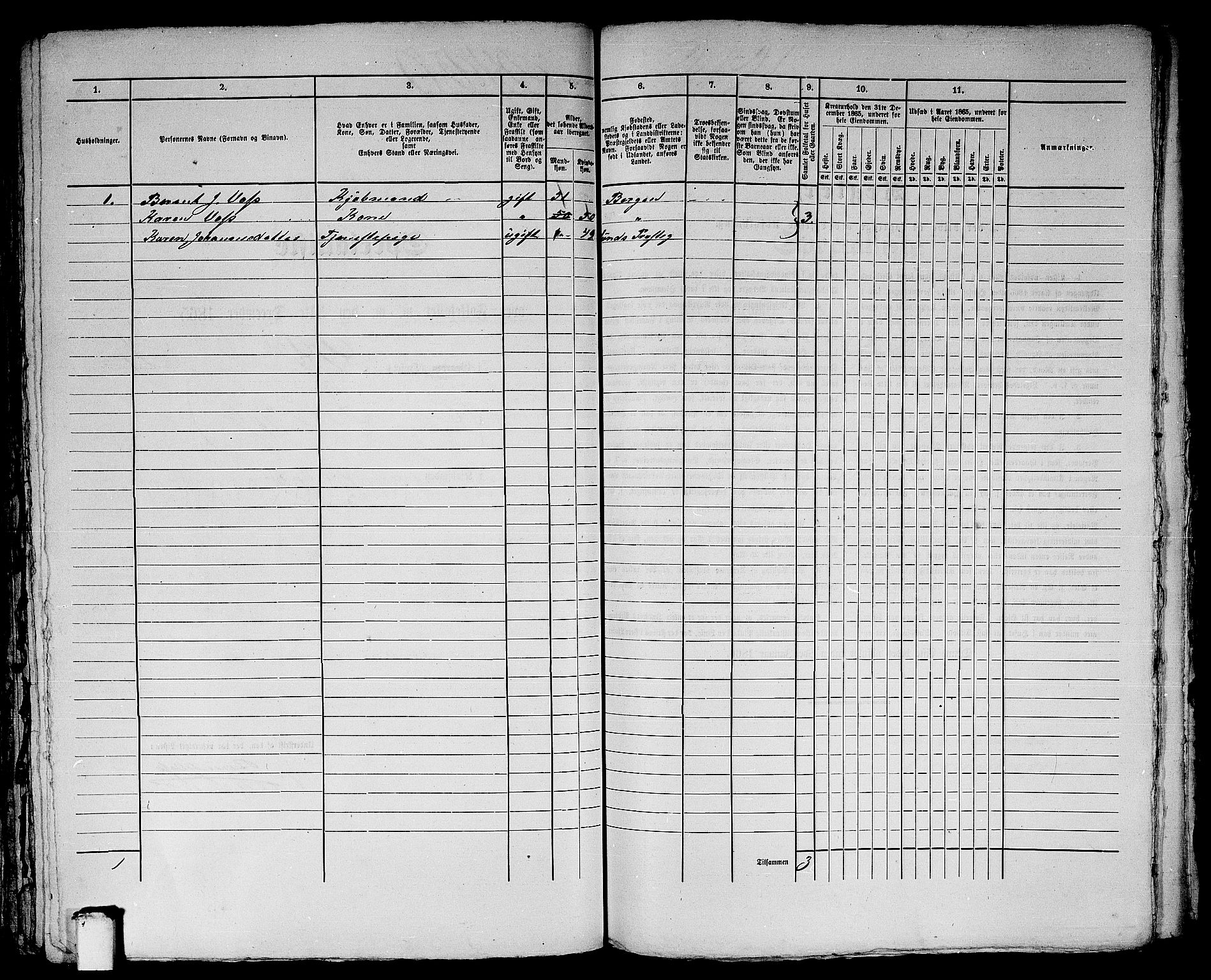 RA, 1865 census for Bergen, 1865, p. 4333