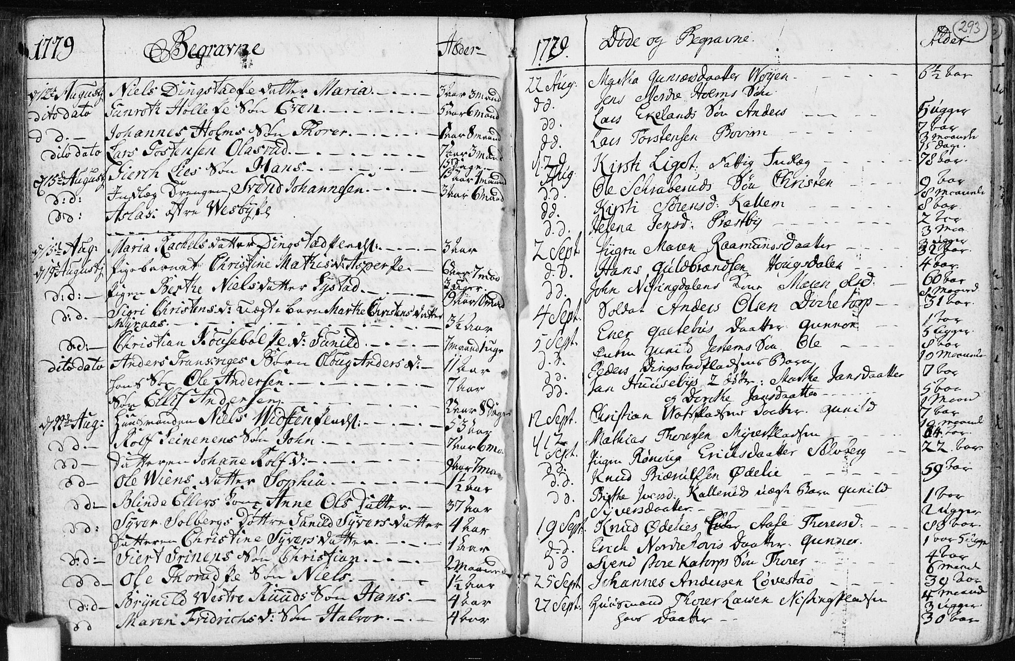 Spydeberg prestekontor Kirkebøker, AV/SAO-A-10924/F/Fa/L0003: Parish register (official) no. I 3, 1778-1814, p. 293