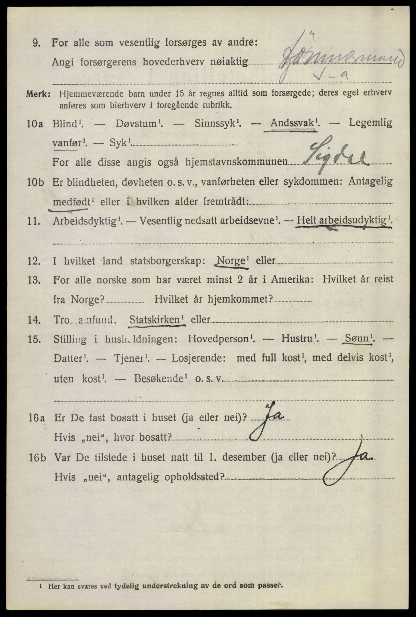 SAKO, 1920 census for Sigdal, 1920, p. 2007