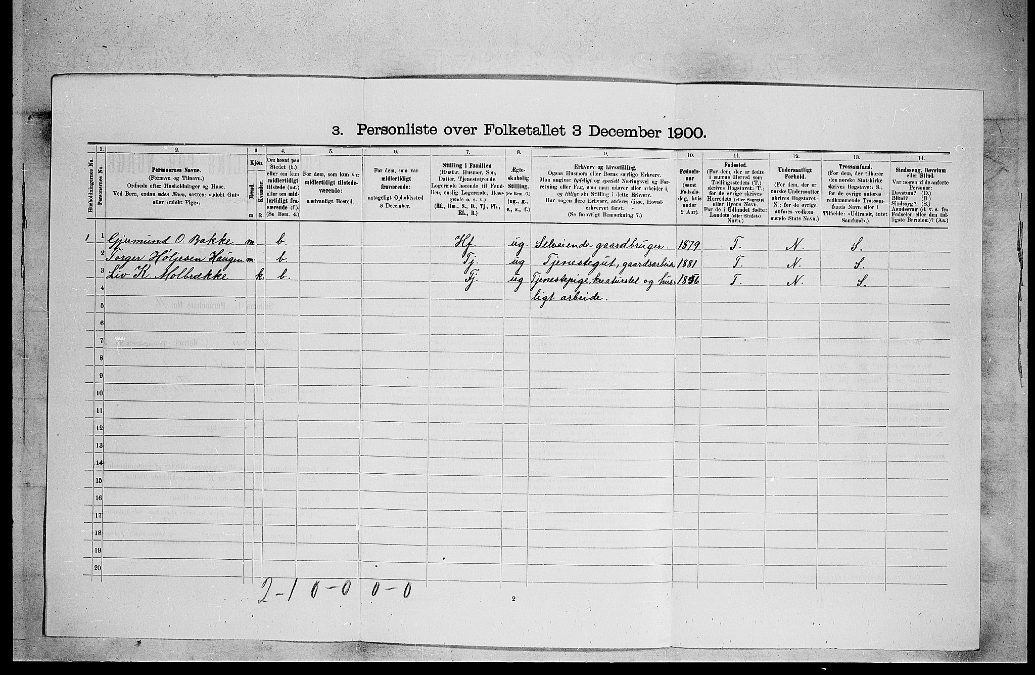 SAKO, 1900 census for Tinn, 1900, p. 408