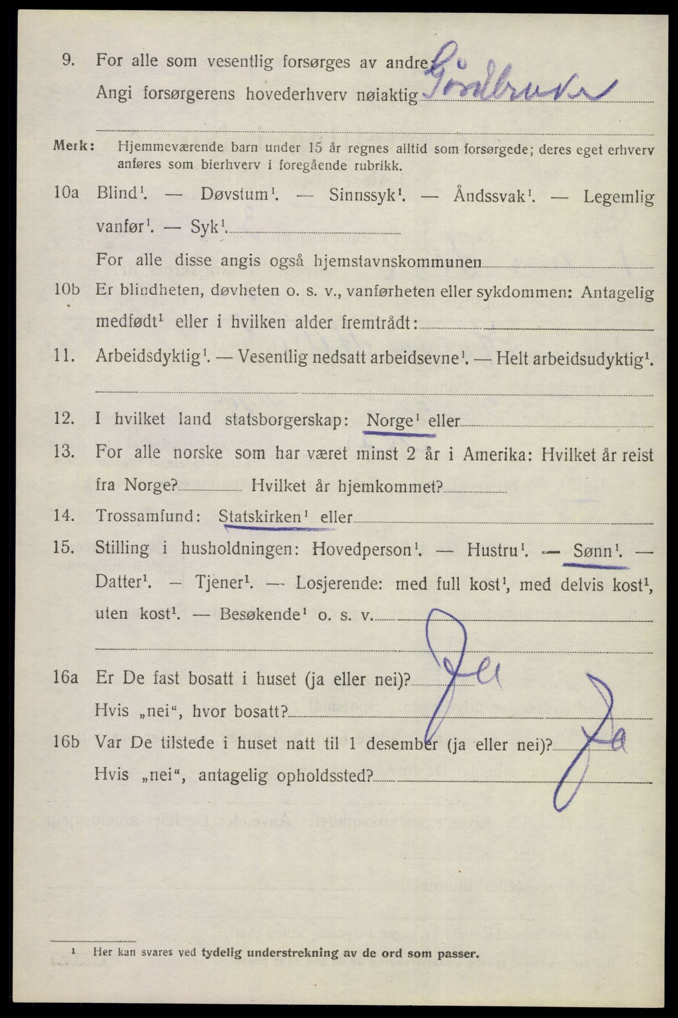 SAKO, 1920 census for Nes (Buskerud), 1920, p. 3049