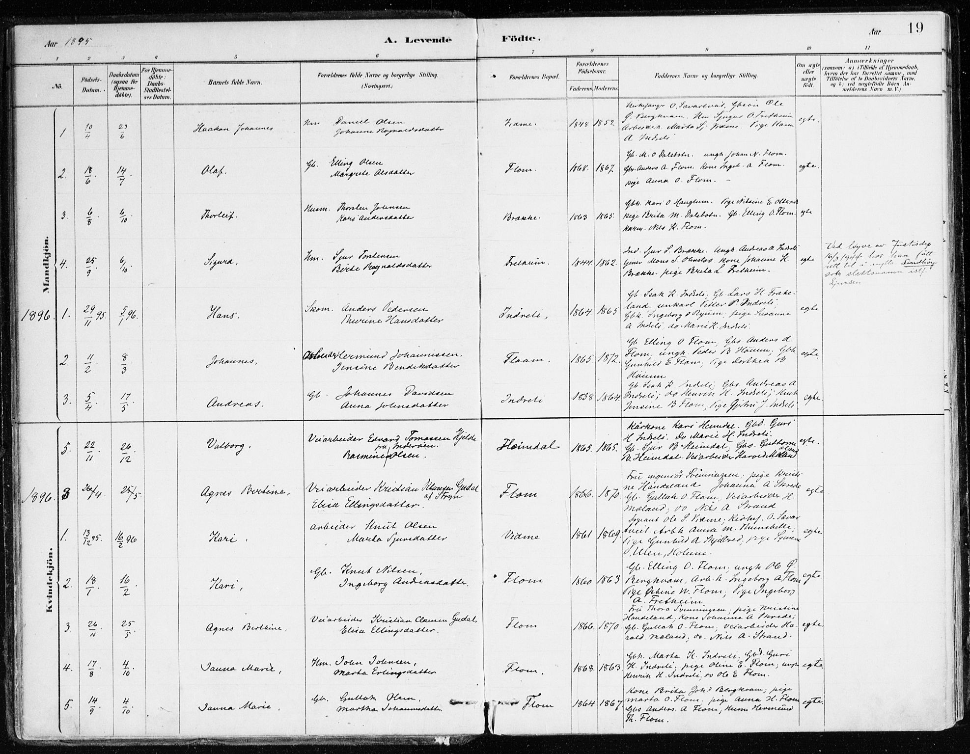 Aurland sokneprestembete, SAB/A-99937/H/Ha/Hac/L0001: Parish register (official) no. C 1, 1880-1921, p. 19
