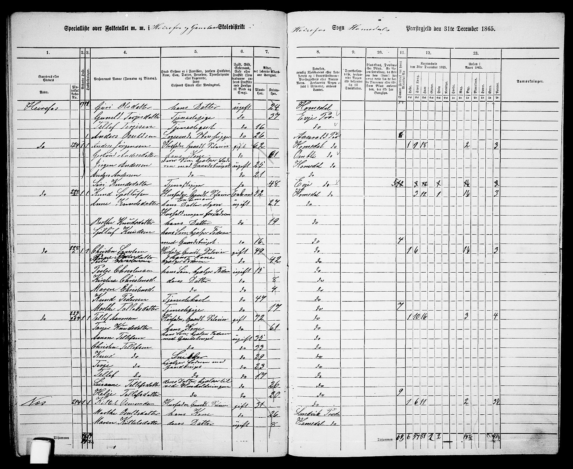 RA, 1865 census for Homedal, 1865, p. 164