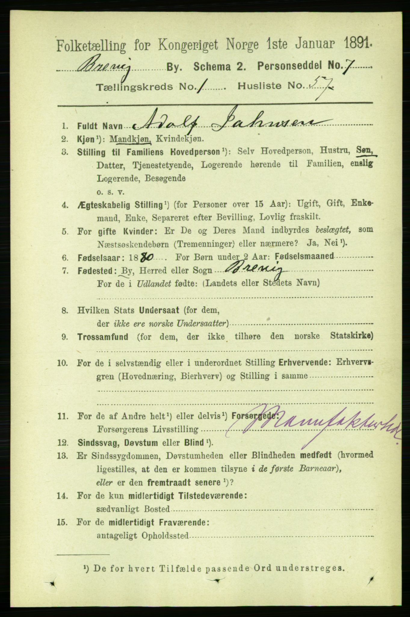 RA, 1891 census for 0804 Brevik, 1891, p. 1175