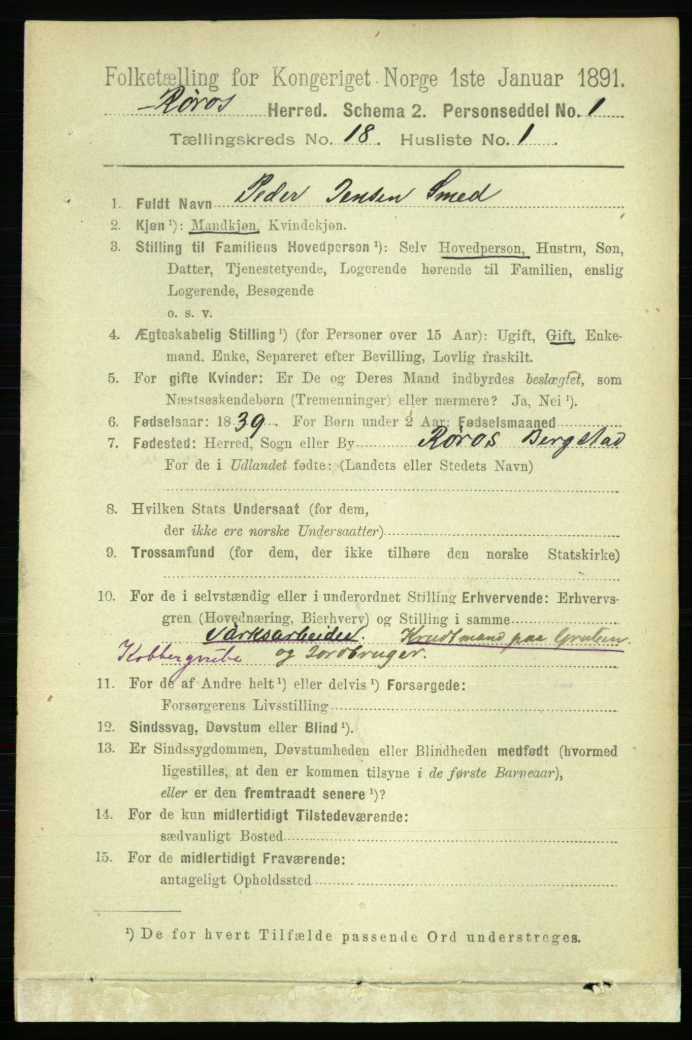 RA, 1891 census for 1640 Røros, 1891, p. 4853