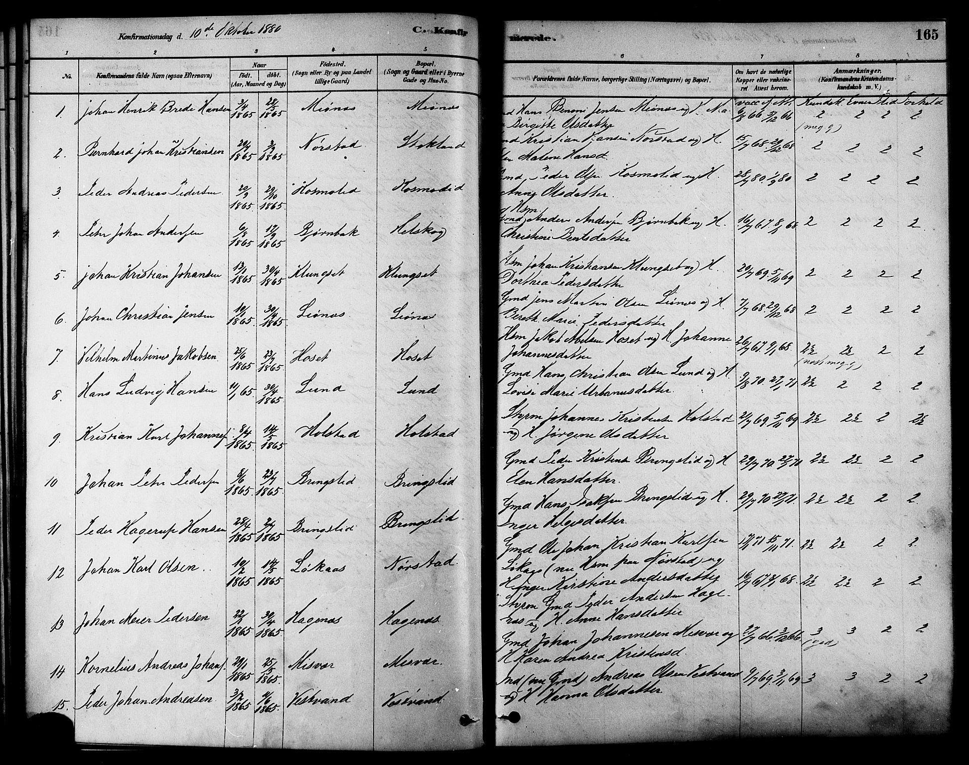 Ministerialprotokoller, klokkerbøker og fødselsregistre - Nordland, AV/SAT-A-1459/852/L0740: Parish register (official) no. 852A10, 1878-1894, p. 165