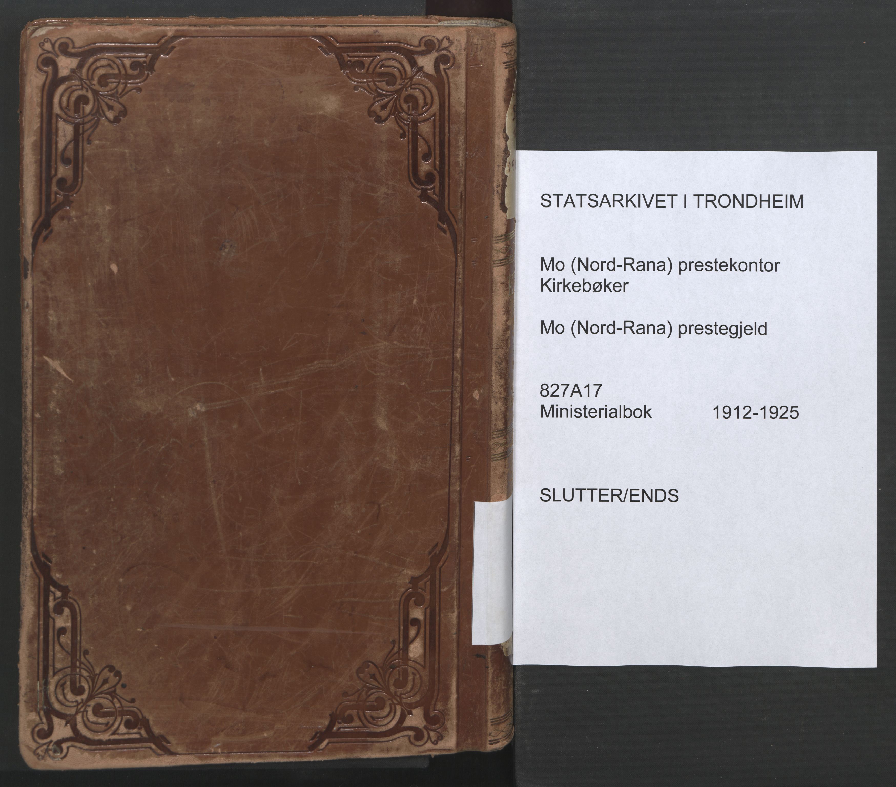 Ministerialprotokoller, klokkerbøker og fødselsregistre - Nordland, AV/SAT-A-1459/827/L0405: Parish register (official) no. 827A17, 1912-1925