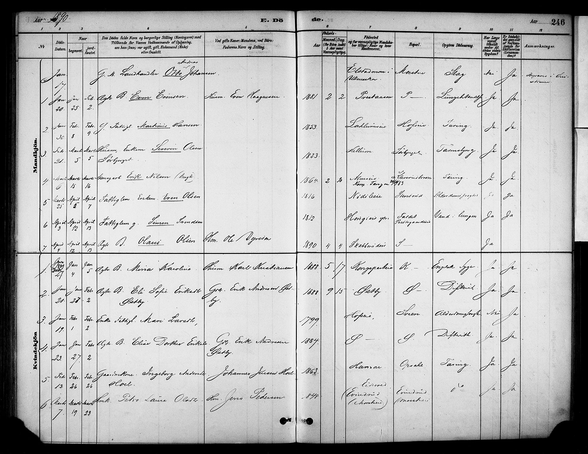 Stange prestekontor, SAH/PREST-002/K/L0018: Parish register (official) no. 18, 1880-1896, p. 246