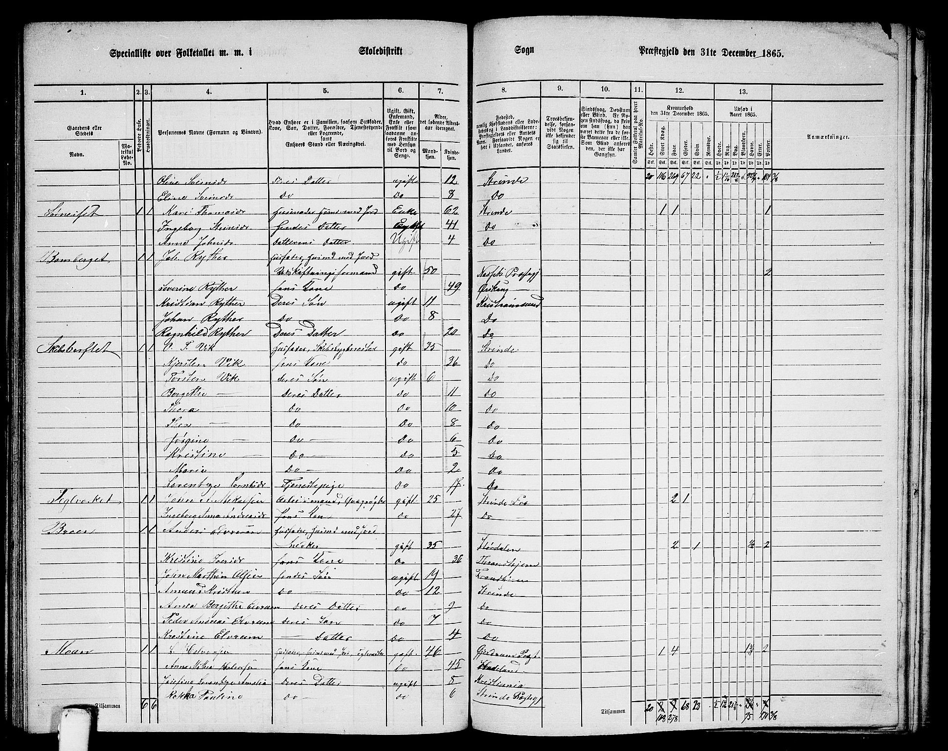 RA, 1865 census for Strinda, 1865, p. 239