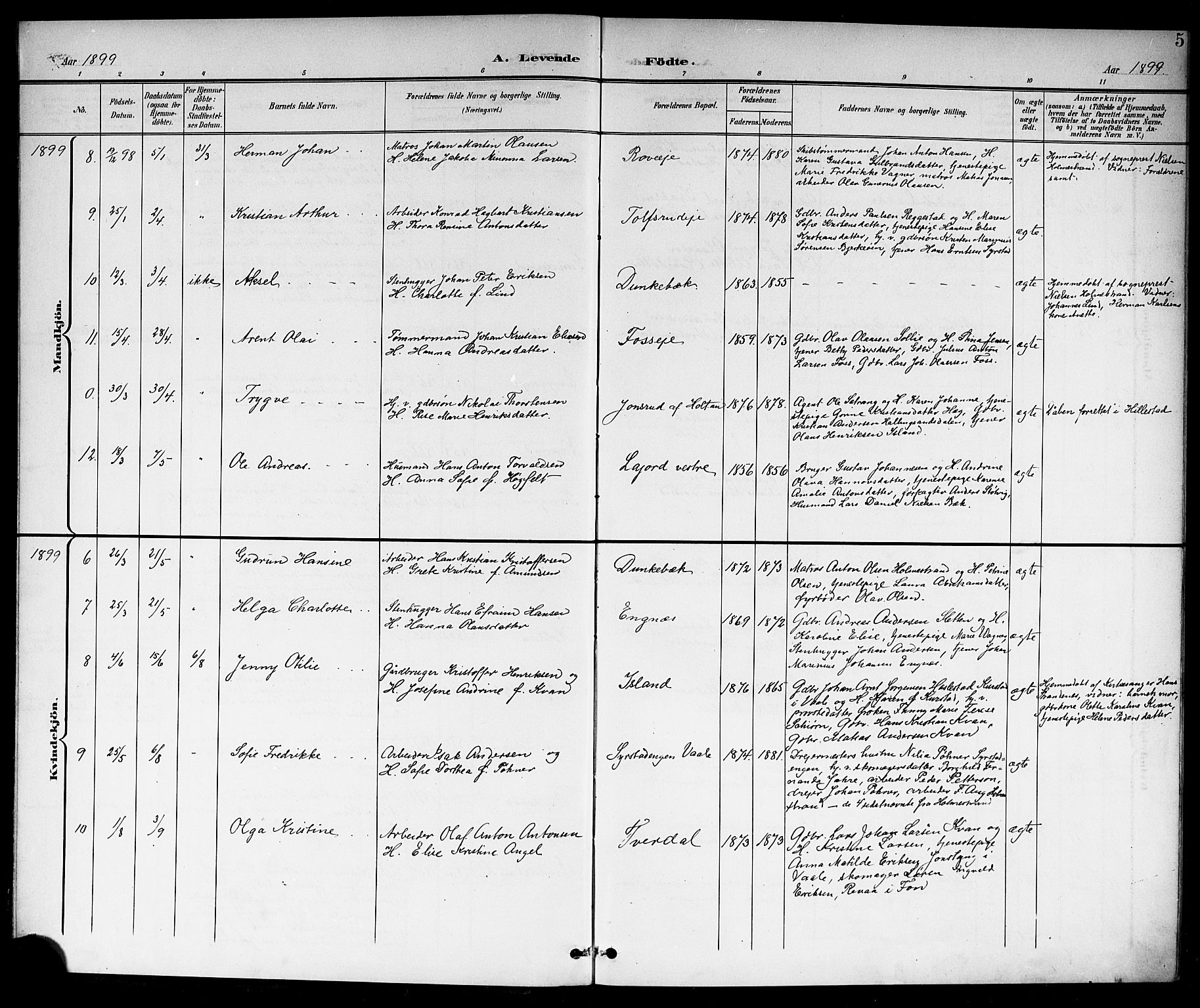 Botne kirkebøker, SAKO/A-340/G/Ga/L0004: Parish register (copy) no. I 4, 1899-1915, p. 5