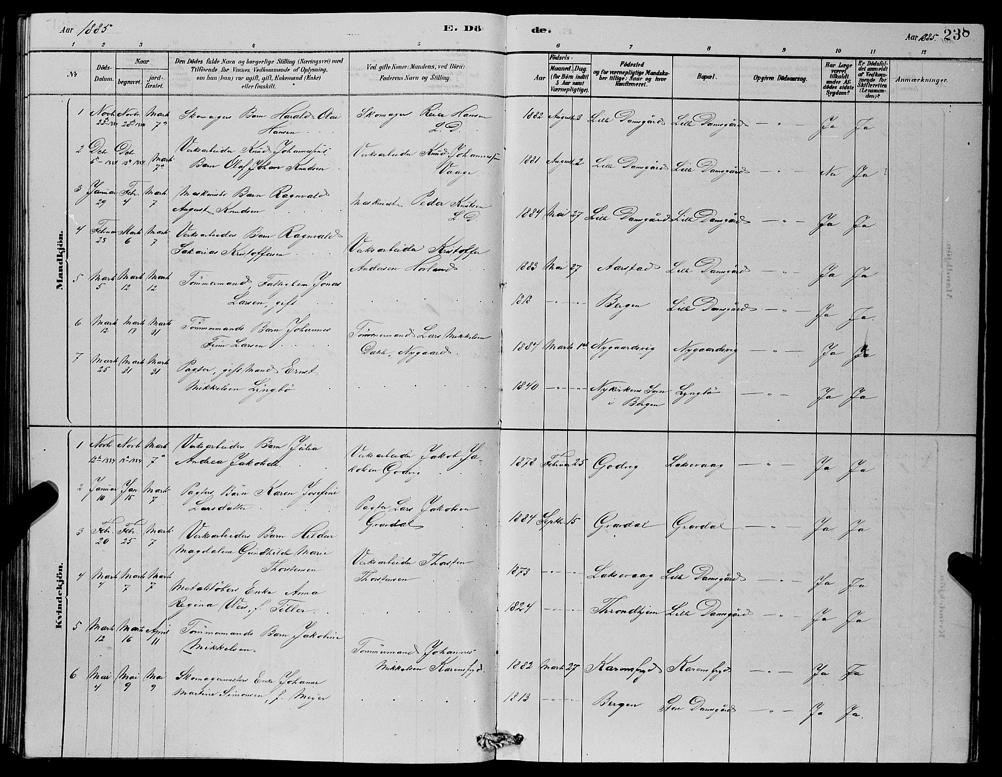 Laksevåg Sokneprestembete, SAB/A-76501/H/Ha/Hab/Haba/L0002: Parish register (copy) no. A 2, 1877-1887, p. 238