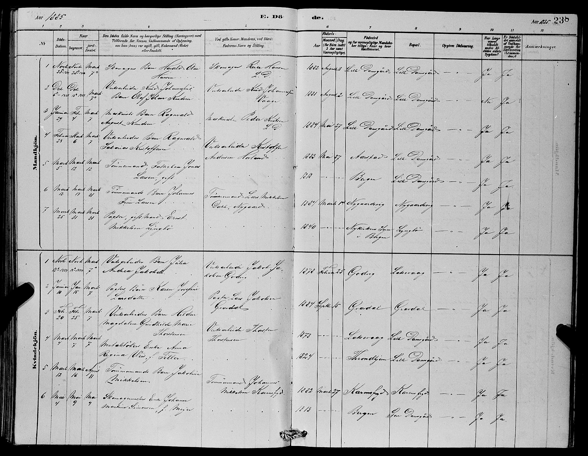 Laksevåg Sokneprestembete, AV/SAB-A-76501/H/Ha/Hab/Haba/L0002: Parish register (copy) no. A 2, 1877-1887, p. 238