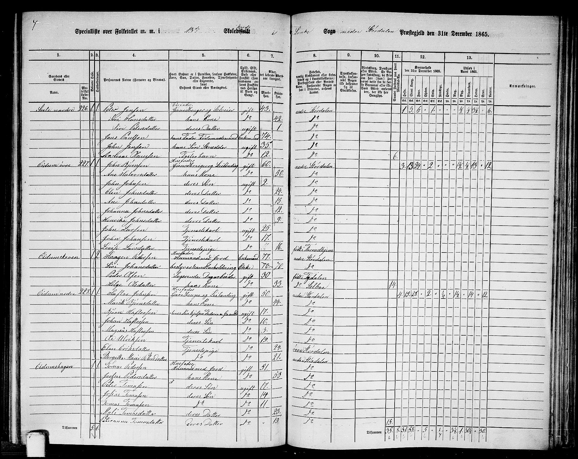 RA, 1865 census for Nedre Stjørdal, 1865, p. 243