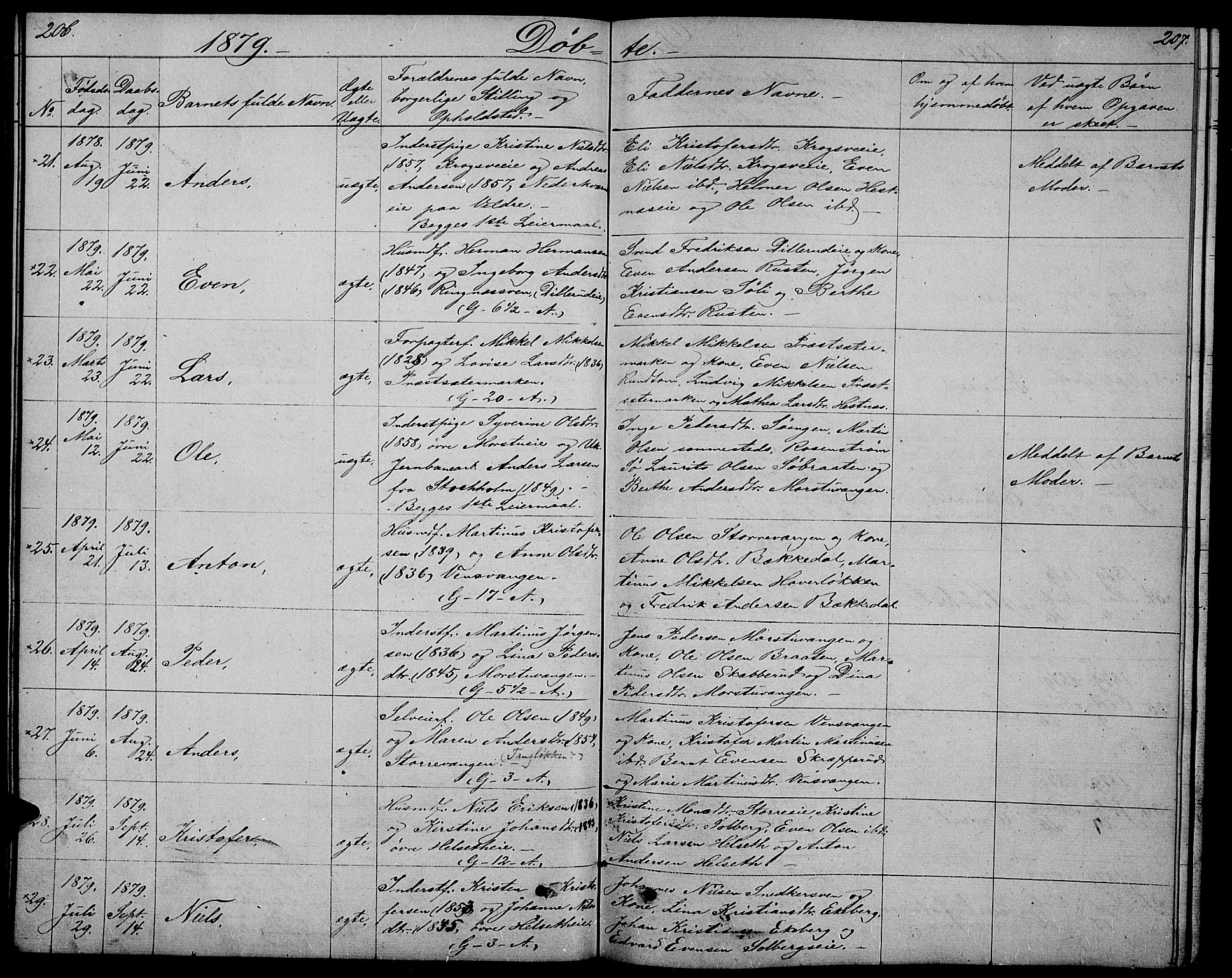 Stange prestekontor, AV/SAH-PREST-002/L/L0005: Parish register (copy) no. 5, 1861-1881, p. 206-207