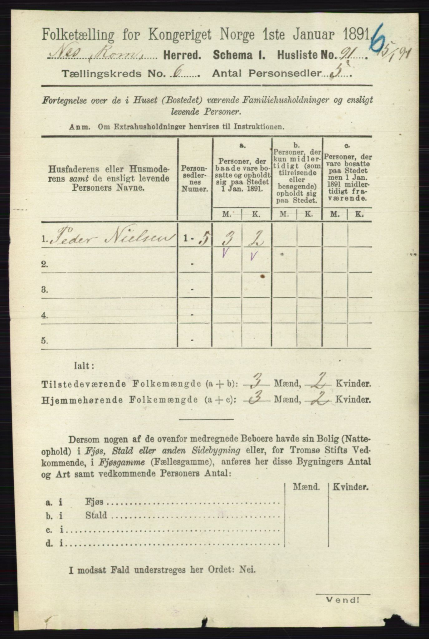 RA, 1891 census for 0236 Nes, 1891, p. 3391