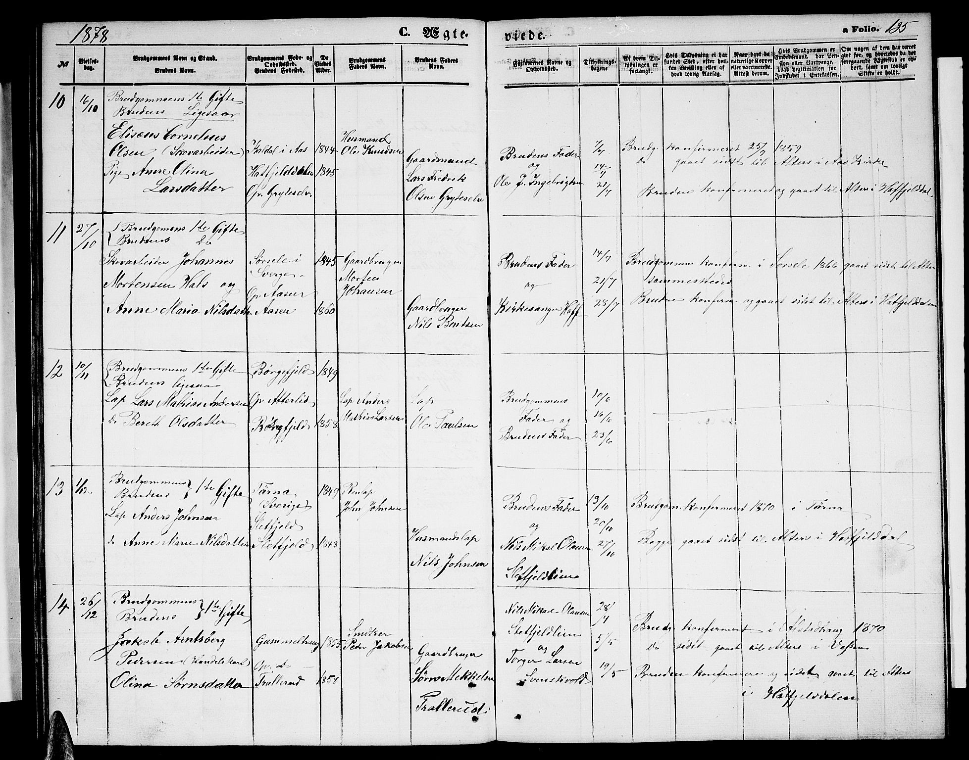 Ministerialprotokoller, klokkerbøker og fødselsregistre - Nordland, AV/SAT-A-1459/823/L0329: Parish register (copy) no. 823C01, 1865-1878, p. 135