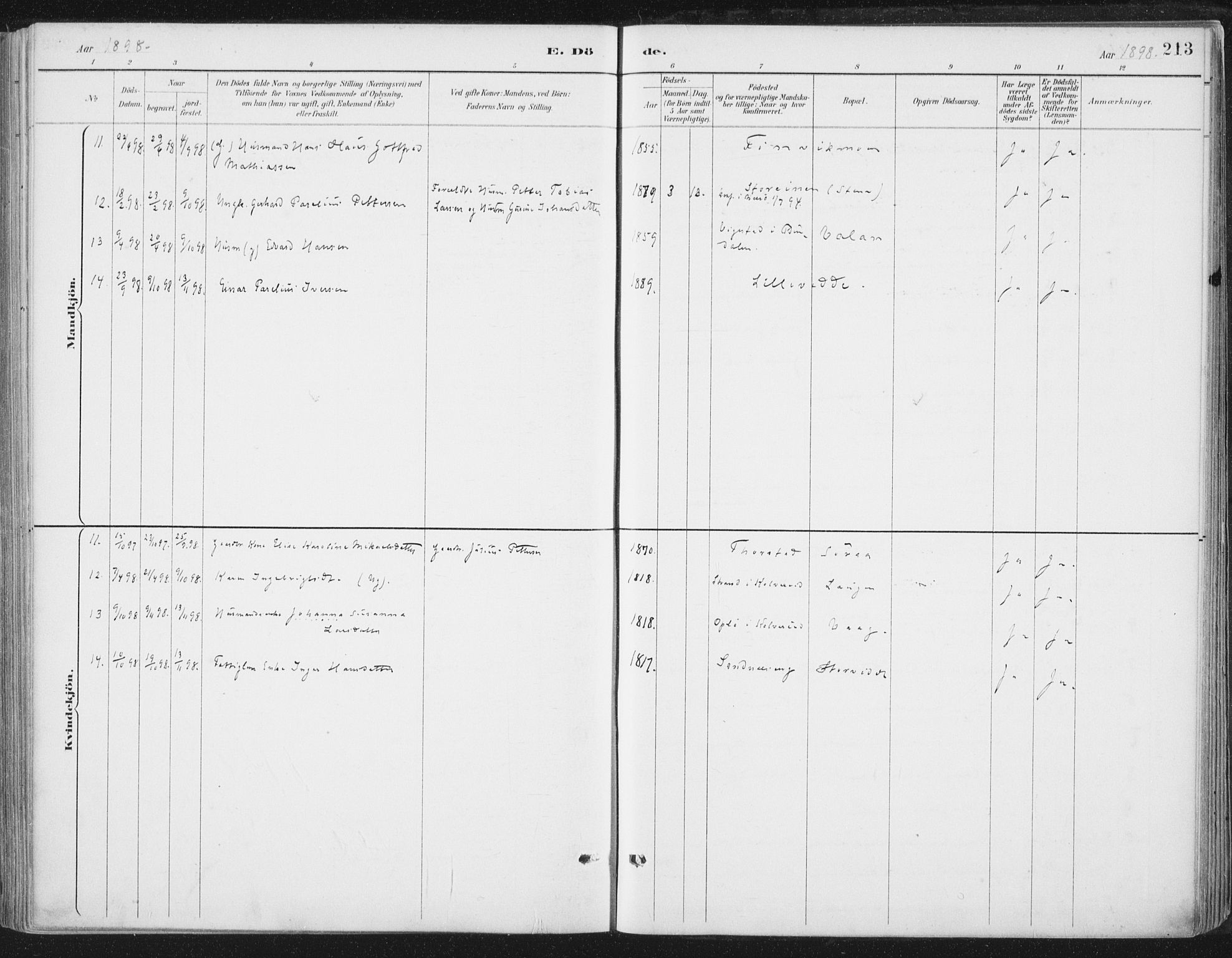 Ministerialprotokoller, klokkerbøker og fødselsregistre - Nord-Trøndelag, SAT/A-1458/784/L0673: Parish register (official) no. 784A08, 1888-1899, p. 213