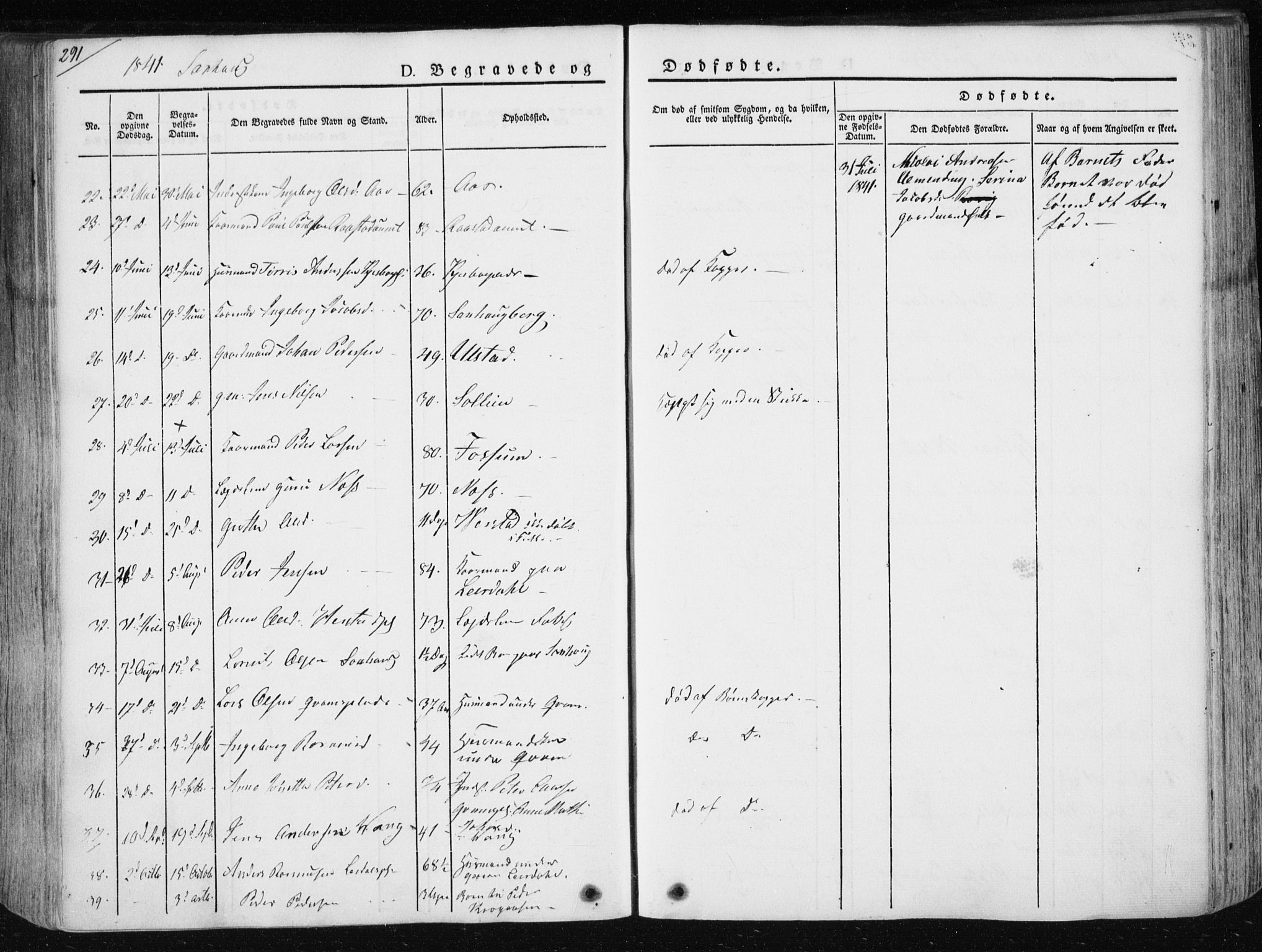 Ministerialprotokoller, klokkerbøker og fødselsregistre - Nord-Trøndelag, AV/SAT-A-1458/730/L0280: Parish register (official) no. 730A07 /1, 1840-1854, p. 291