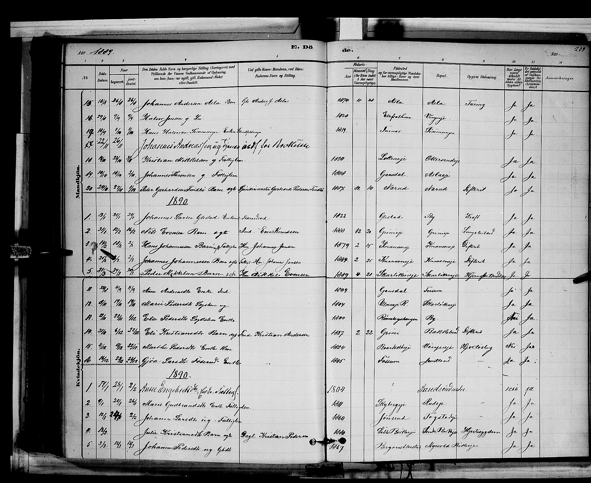 Ringsaker prestekontor, AV/SAH-PREST-014/L/La/L0011: Parish register (copy) no. 11, 1879-1890, p. 209