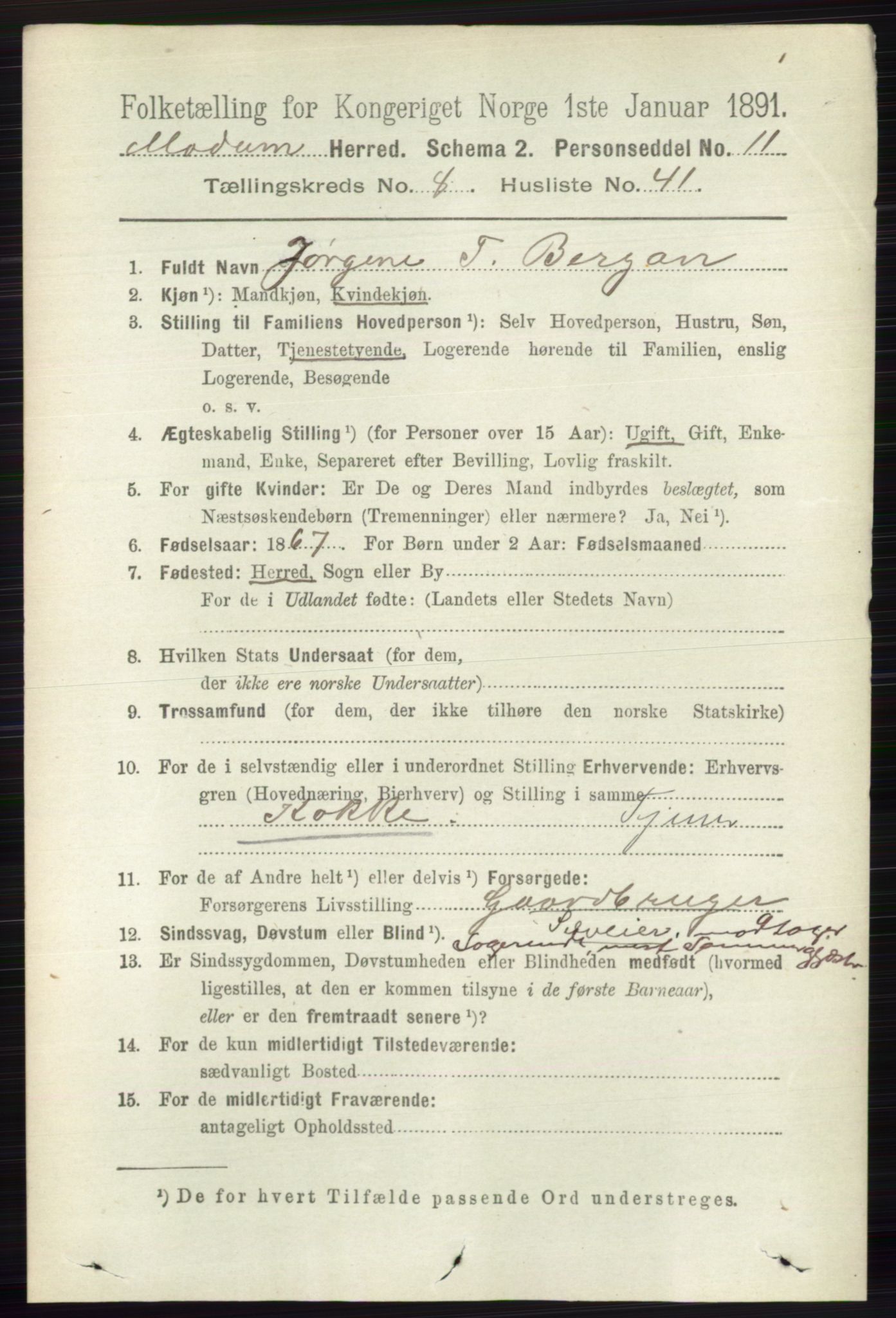 RA, 1891 census for 0623 Modum, 1891, p. 3109