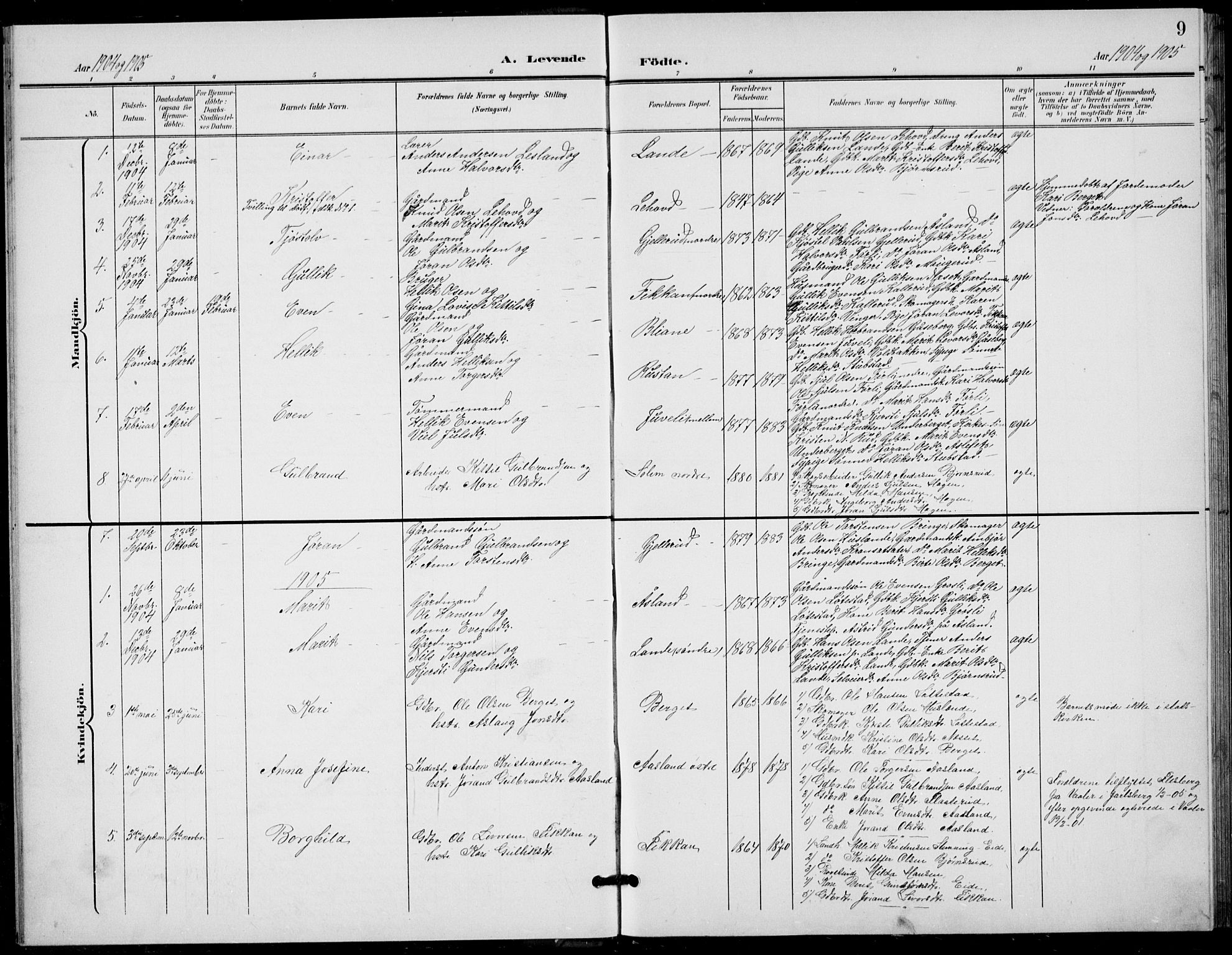Flesberg kirkebøker, SAKO/A-18/G/Ga/L0005: Parish register (copy) no. I 5, 1899-1908, p. 9