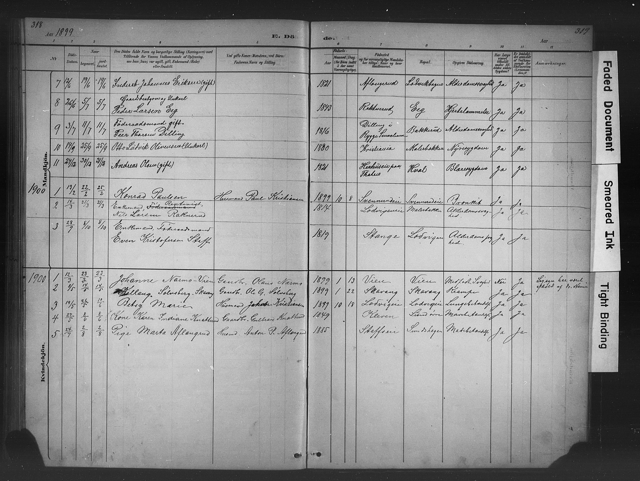 Nes prestekontor, Hedmark, SAH/PREST-020/L/La/L0016: Parish register (copy) no. 16, 1883-1900, p. 318-319