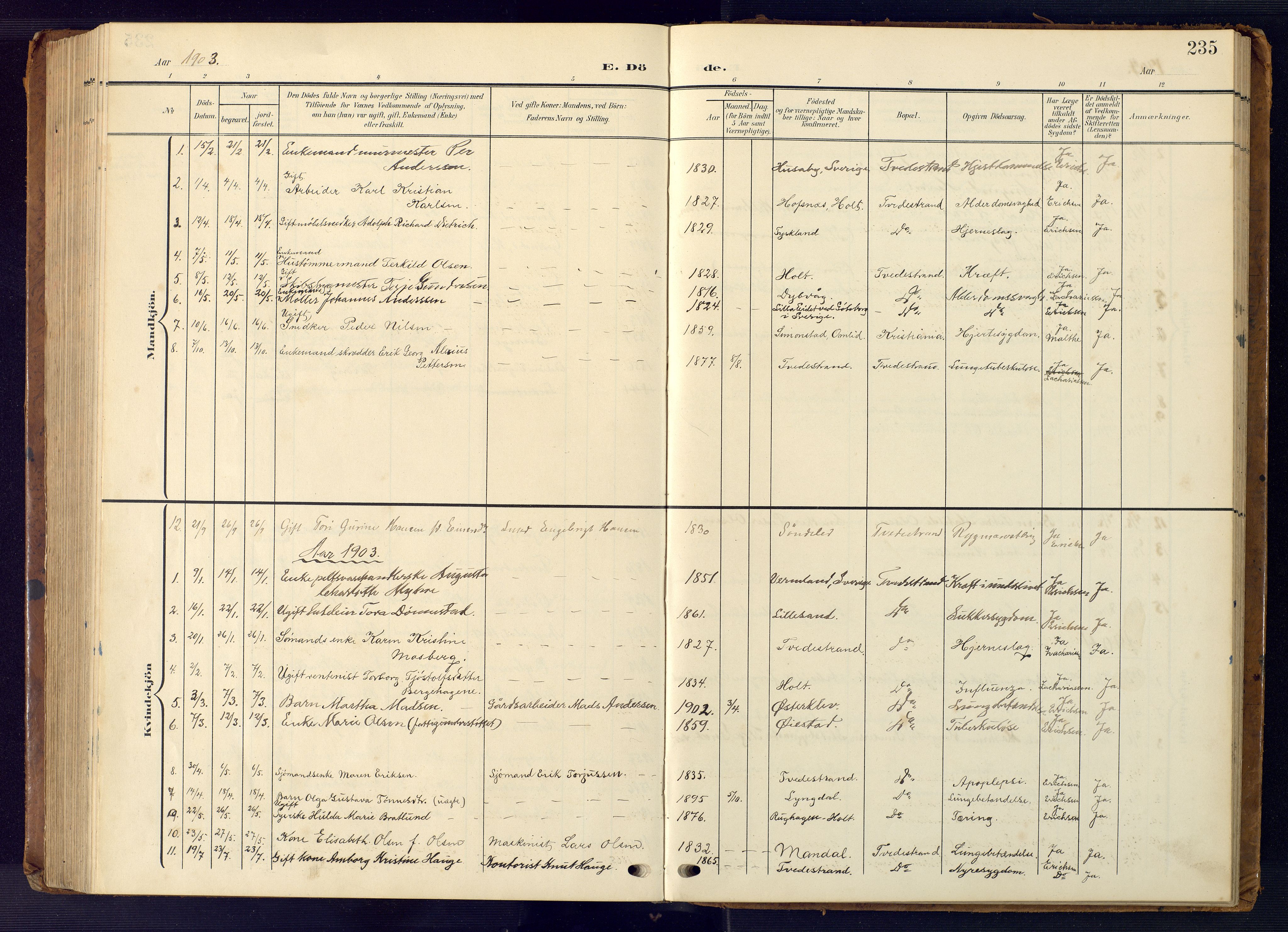 Tvedestrand sokneprestkontor, AV/SAK-1111-0042/F/Fb/L0001: Parish register (copy) no. B 1, 1902-1956, p. 235