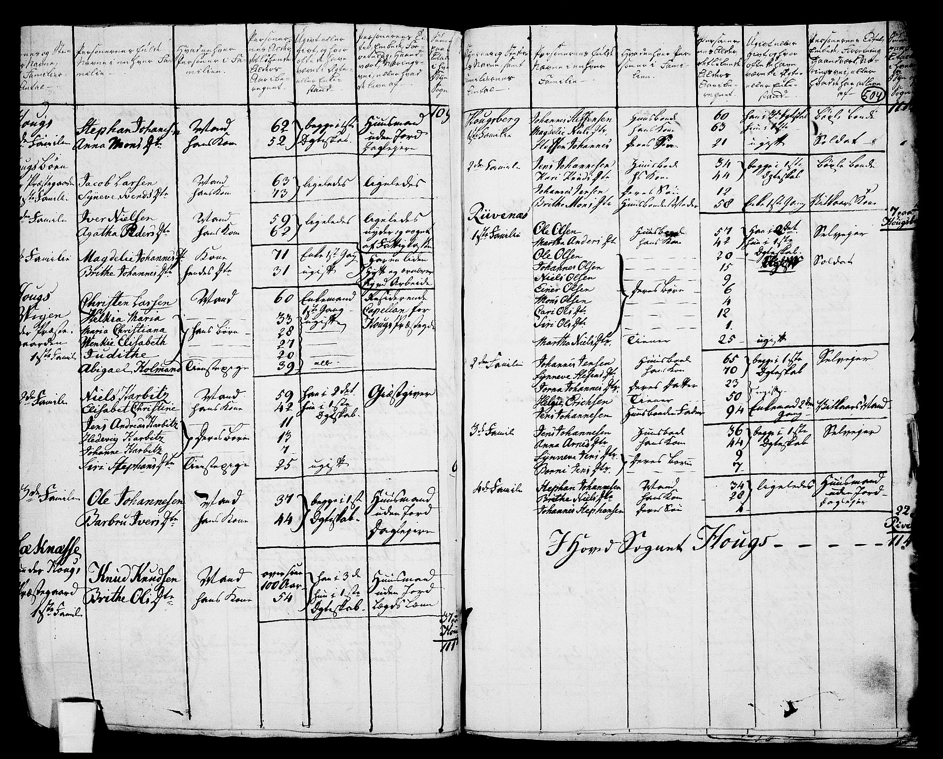 RA, 1801 census for 1250P Haus, 1801, p. 503b-504a