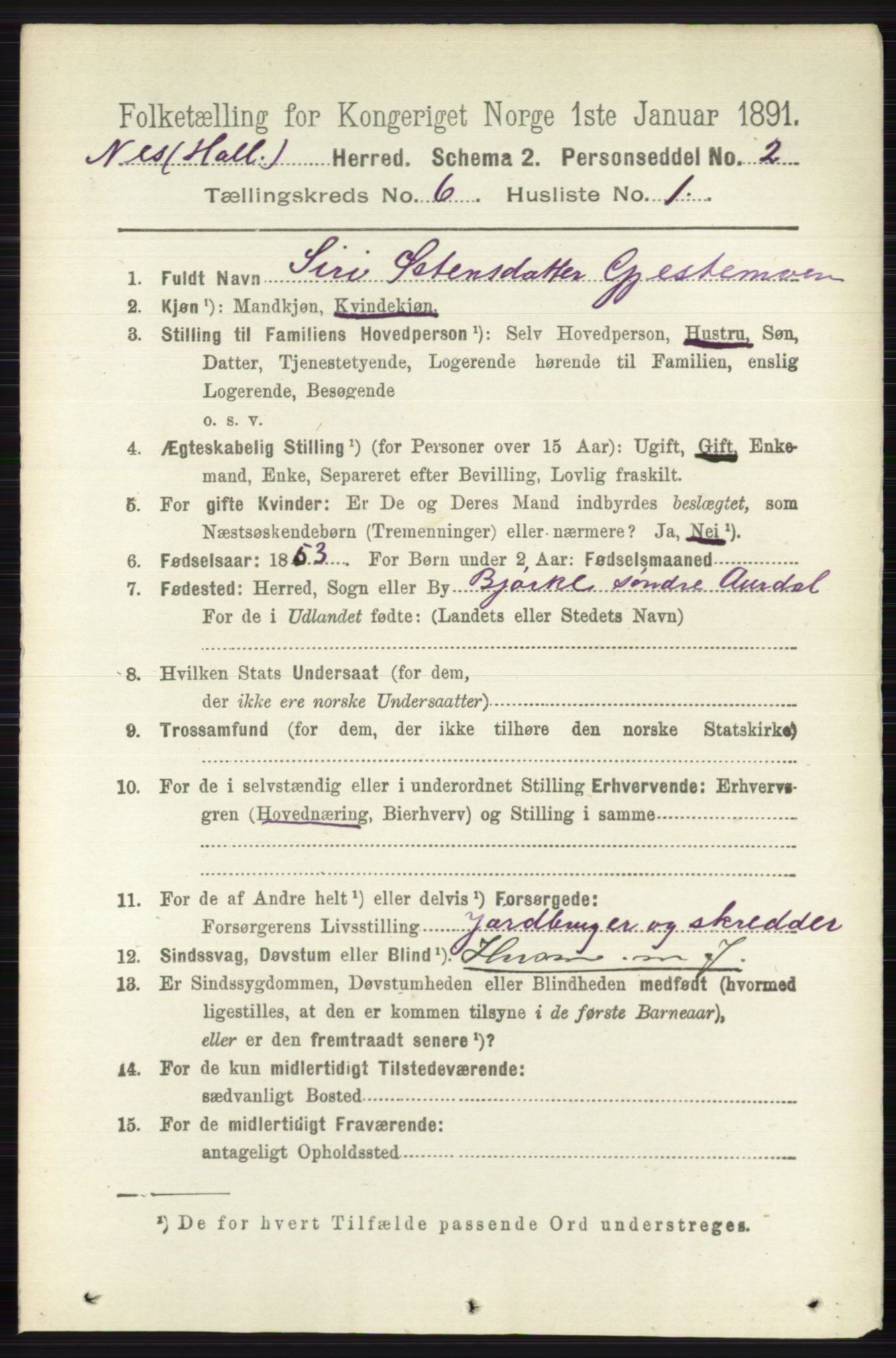 RA, 1891 census for 0616 Nes, 1891, p. 3045