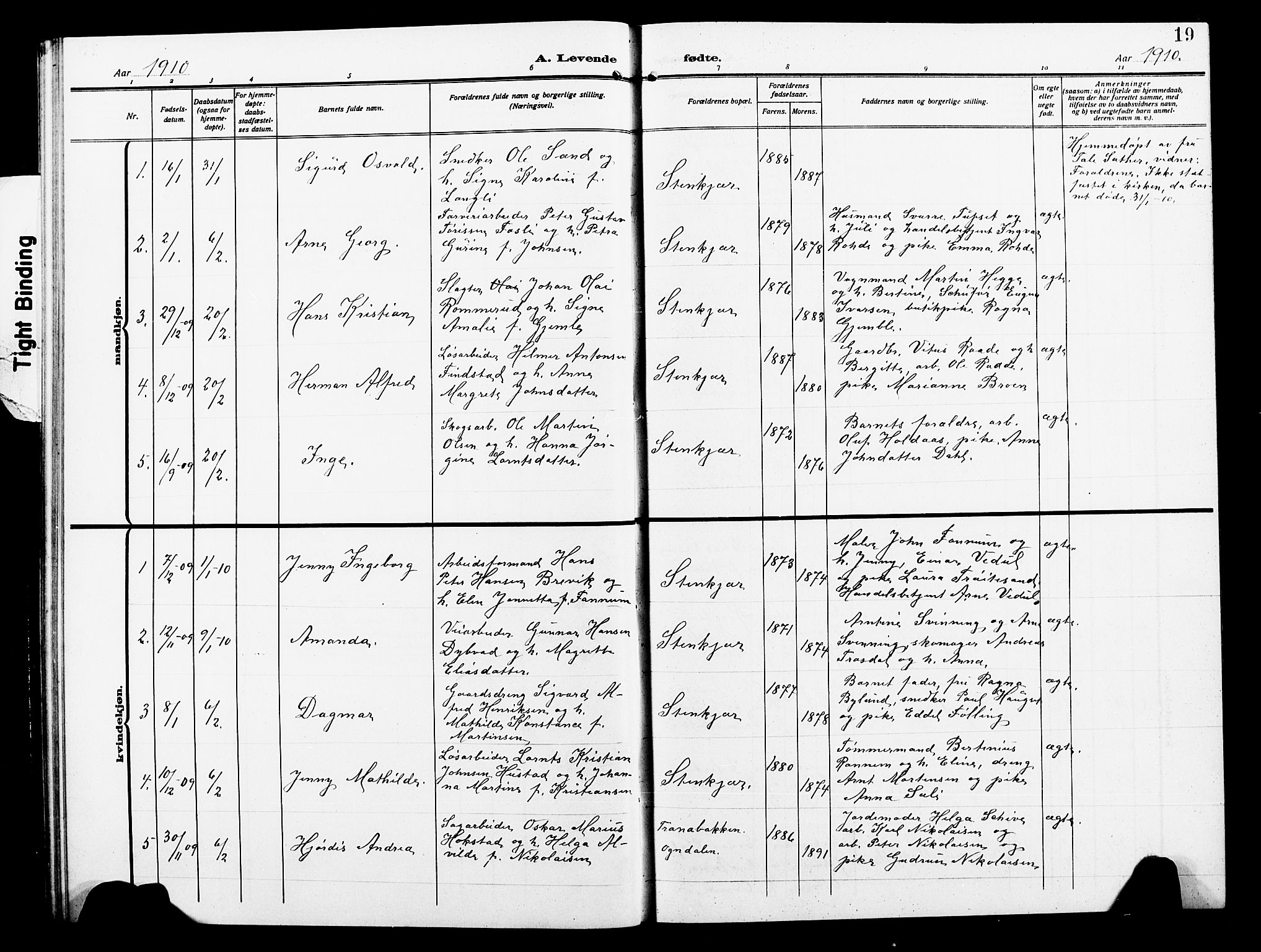 Ministerialprotokoller, klokkerbøker og fødselsregistre - Nord-Trøndelag, SAT/A-1458/739/L0376: Parish register (copy) no. 739C04, 1908-1917, p. 19