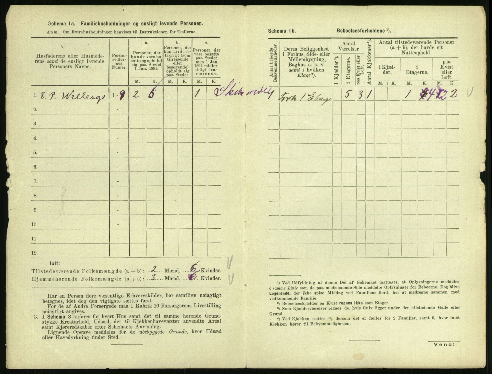 RA, 1891 census for 0805 Porsgrunn, 1891, p. 484