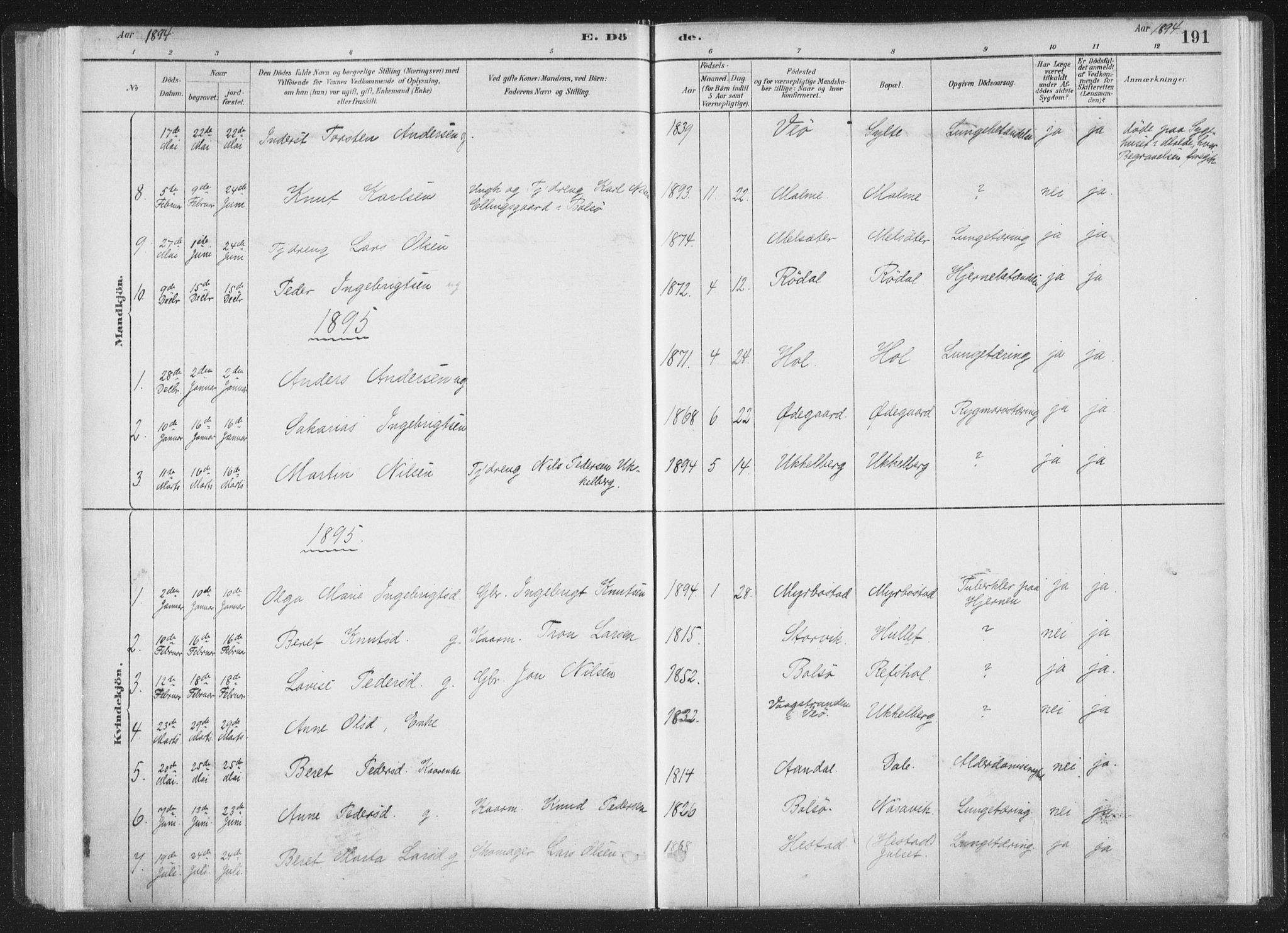 Ministerialprotokoller, klokkerbøker og fødselsregistre - Møre og Romsdal, AV/SAT-A-1454/564/L0740: Parish register (official) no. 564A01, 1880-1899, p. 191